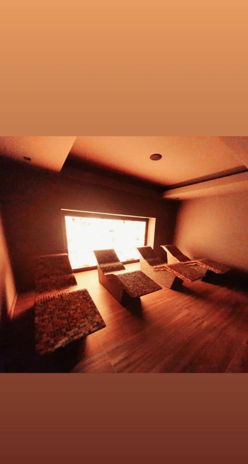 Apartman Mihajlo Kalman view 5