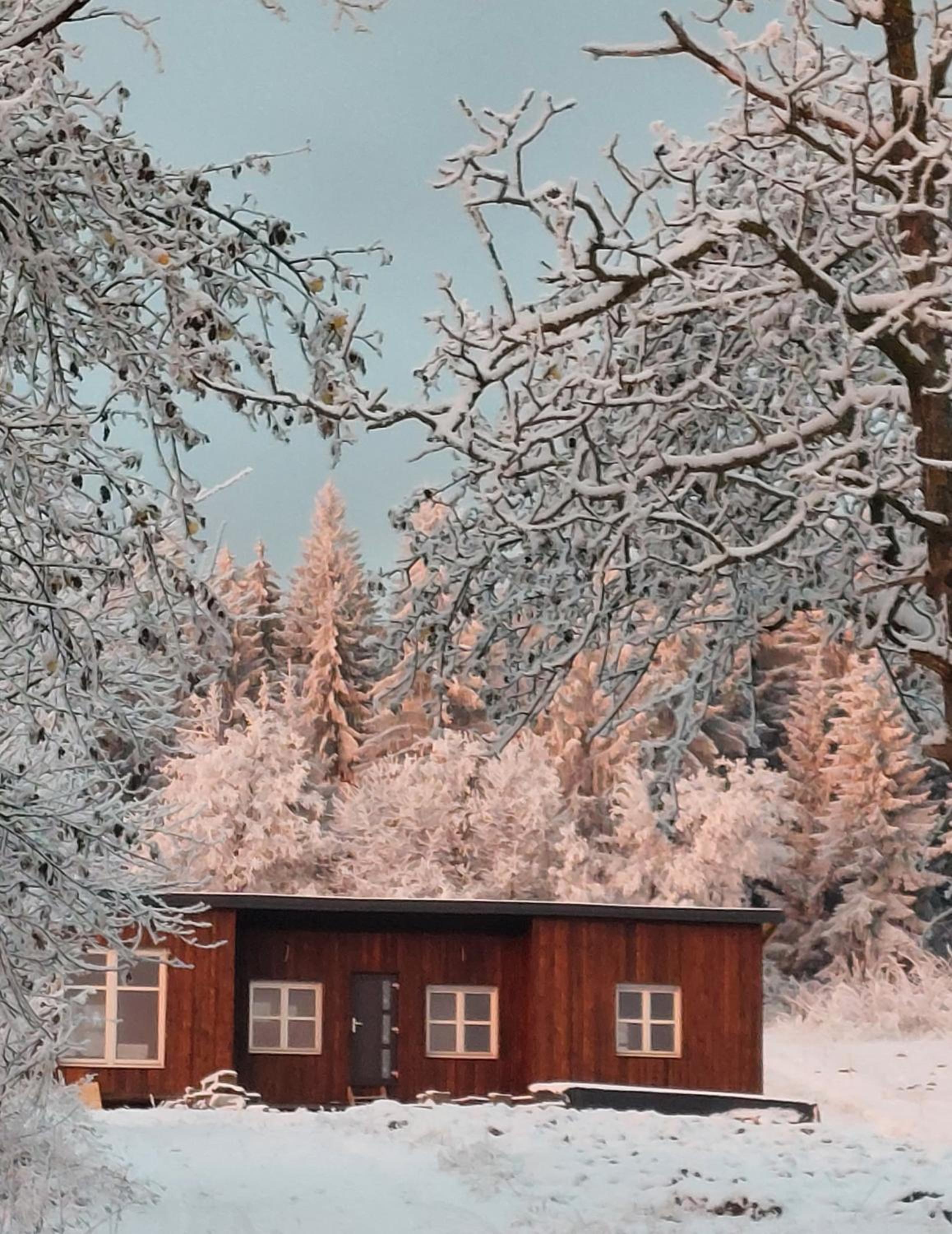 Tiny Moldovibe