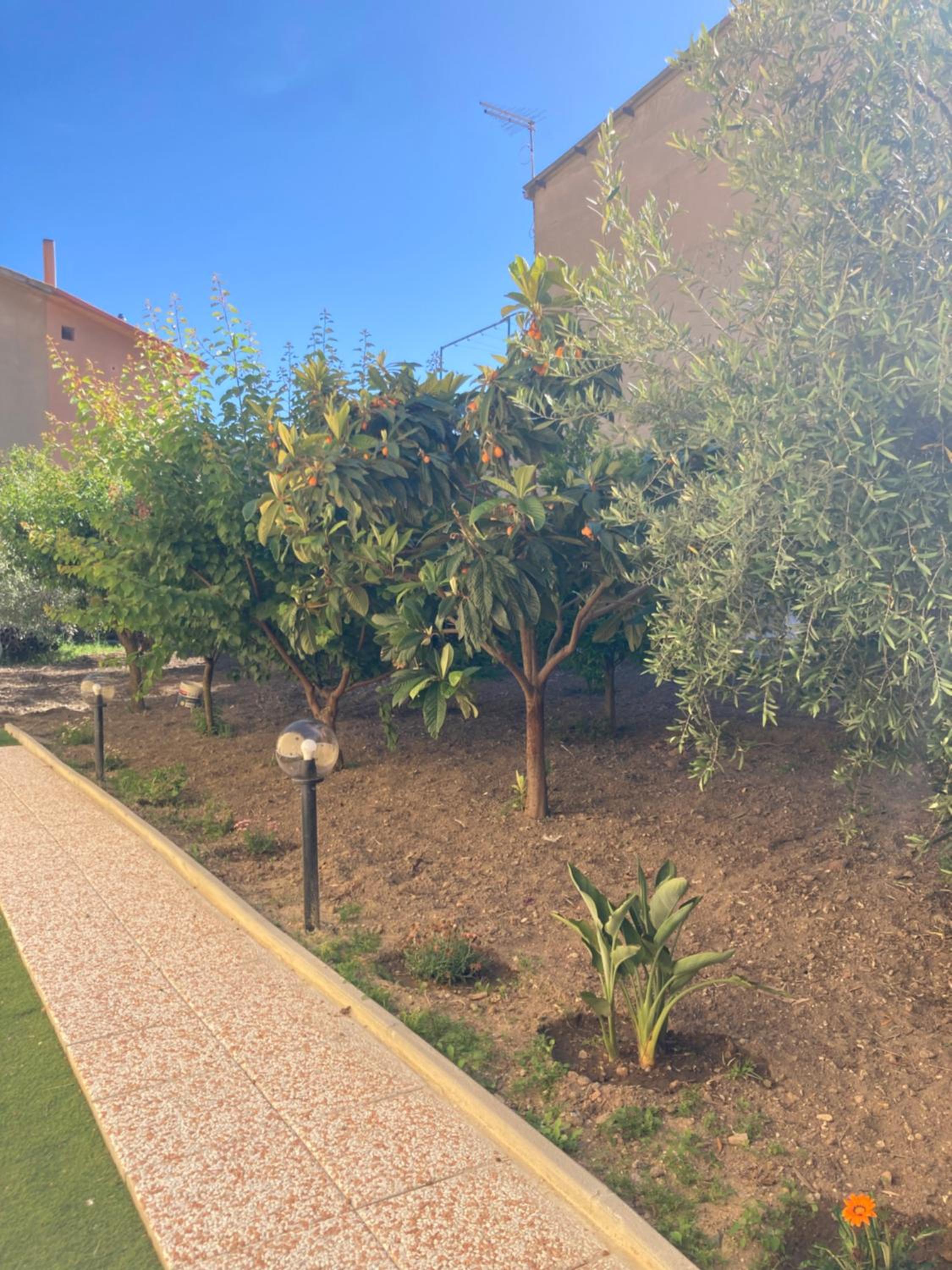 Casa vacanze Il giardino view 3