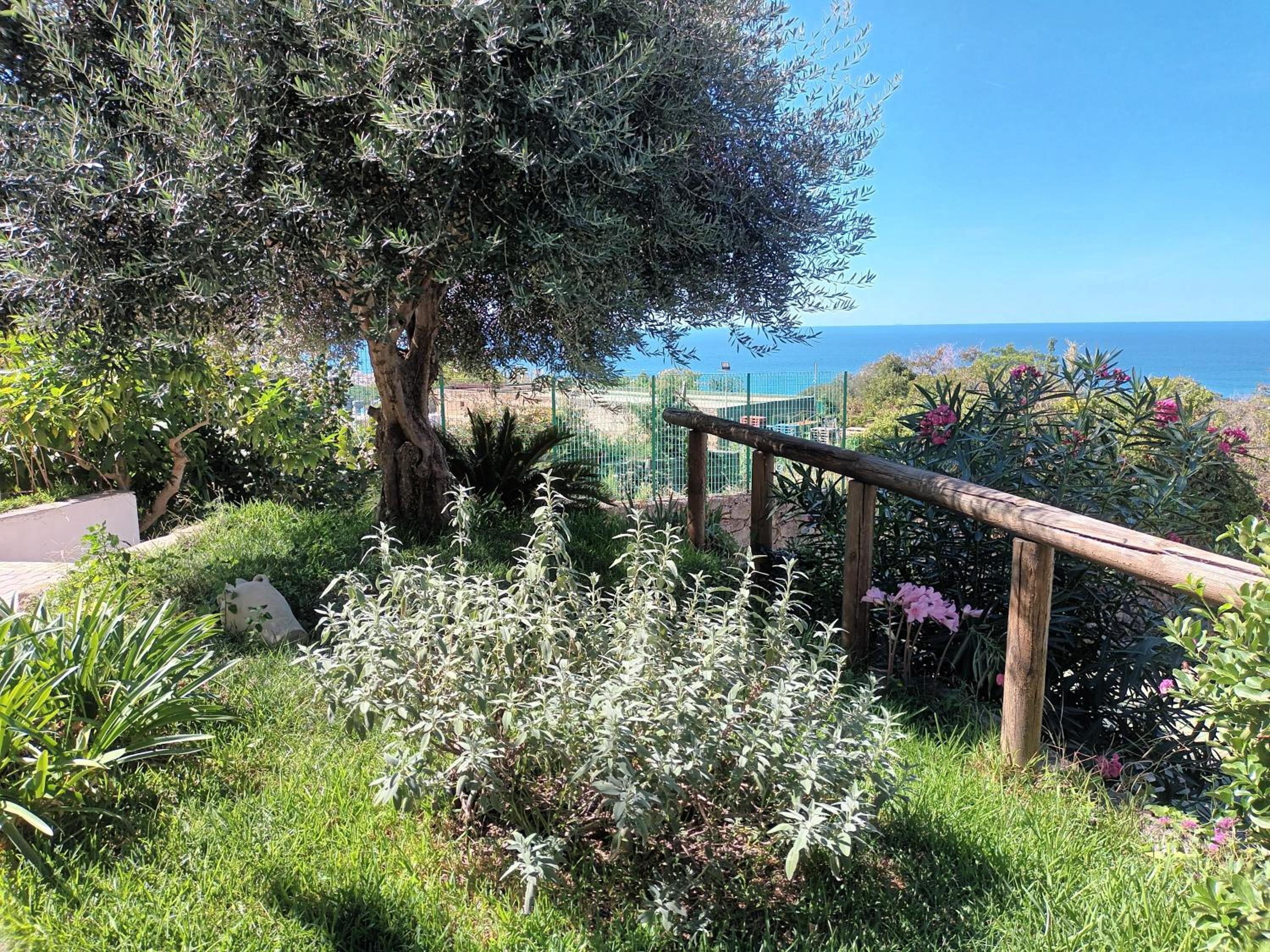 La Strelizia -Bilocale con terrazzo e vista panoramica, Ischia photo 4