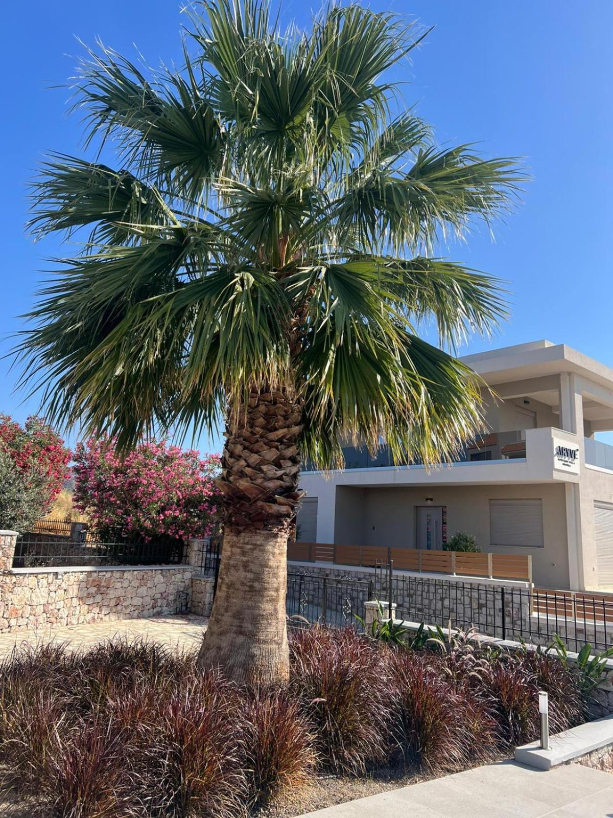 Hotel ARYVE Boutique Villa mit Akropolis- und Meerblick, Infinity-Pool und Designer-Interieur - Image 1