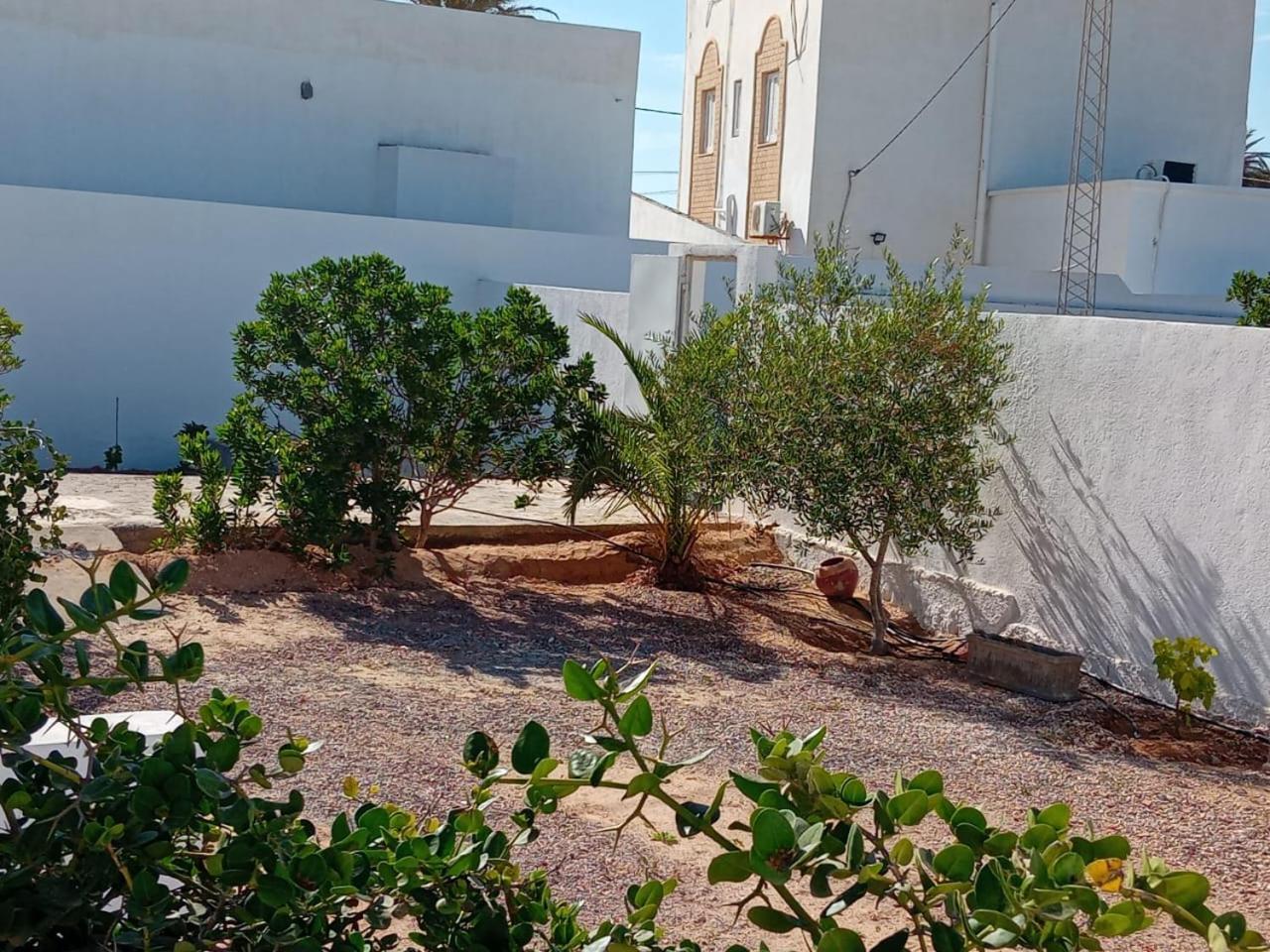 Photo 19