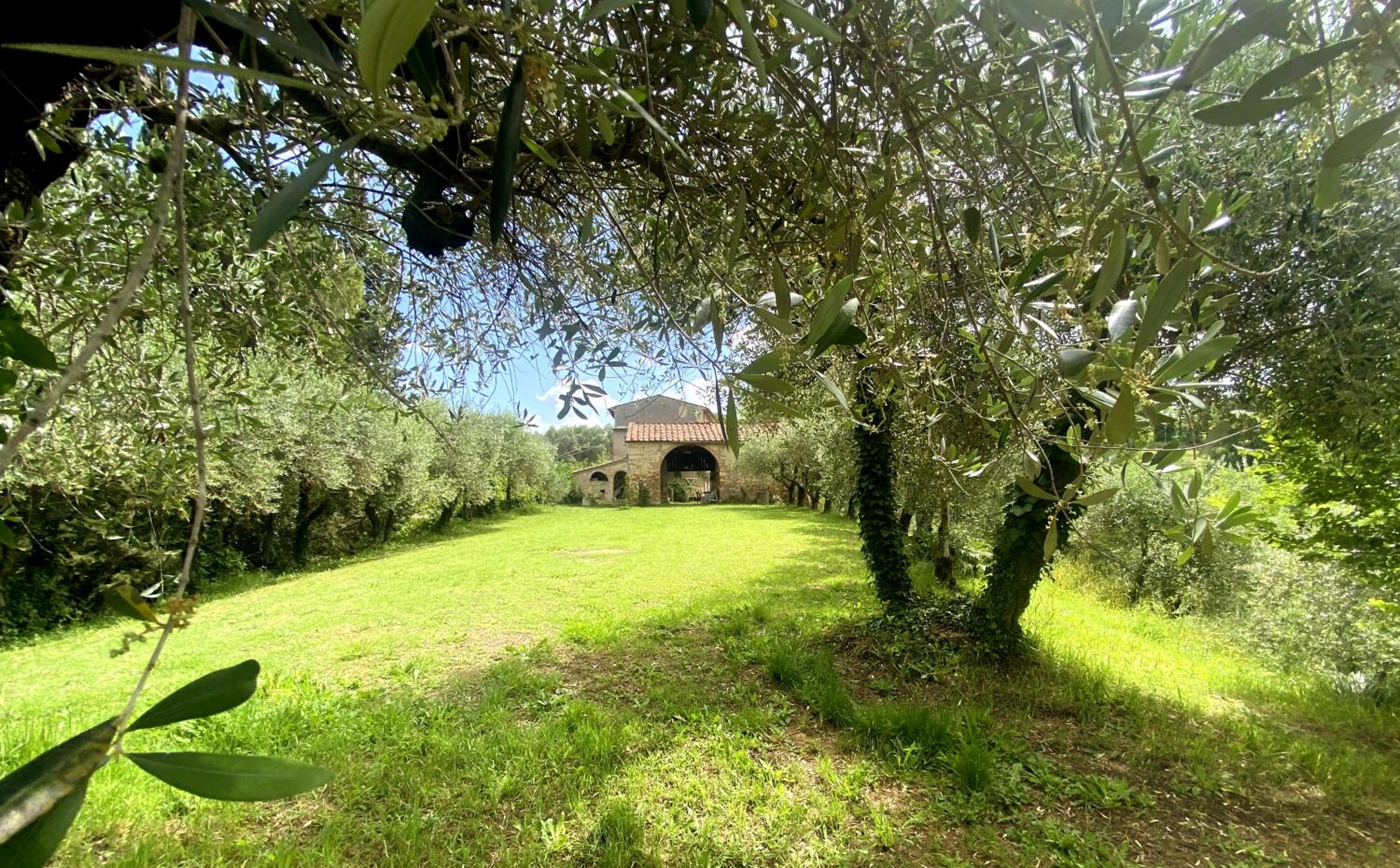 La Tonnaia