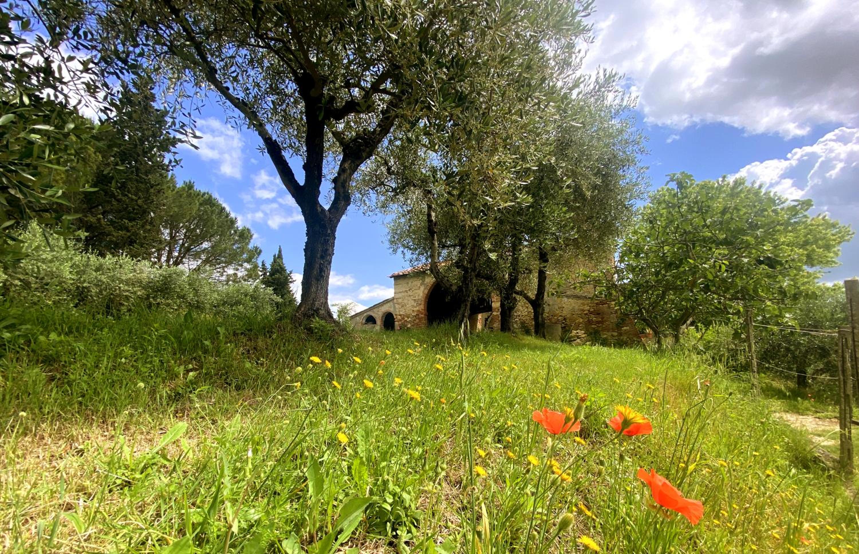 La Tonnaia