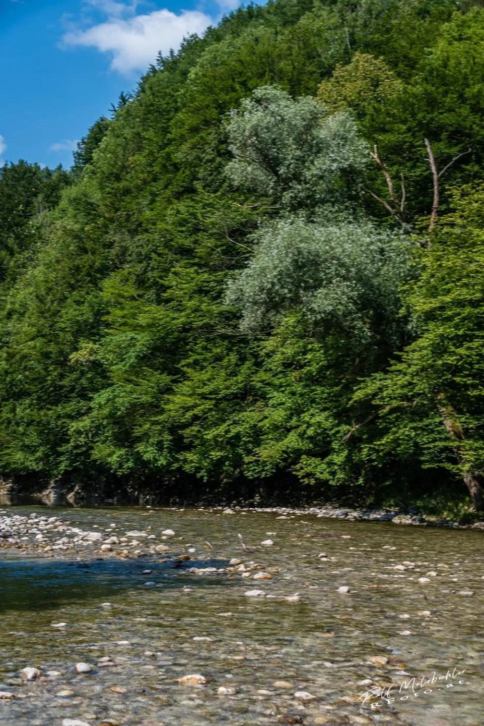 Wohnung im Nationalpark Kalkalpen 2