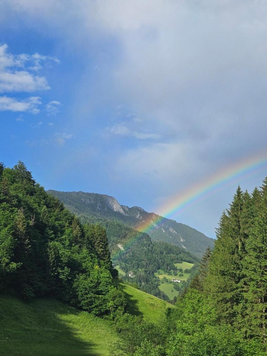 Wohnung im Nationalpark Kalkalpen 2