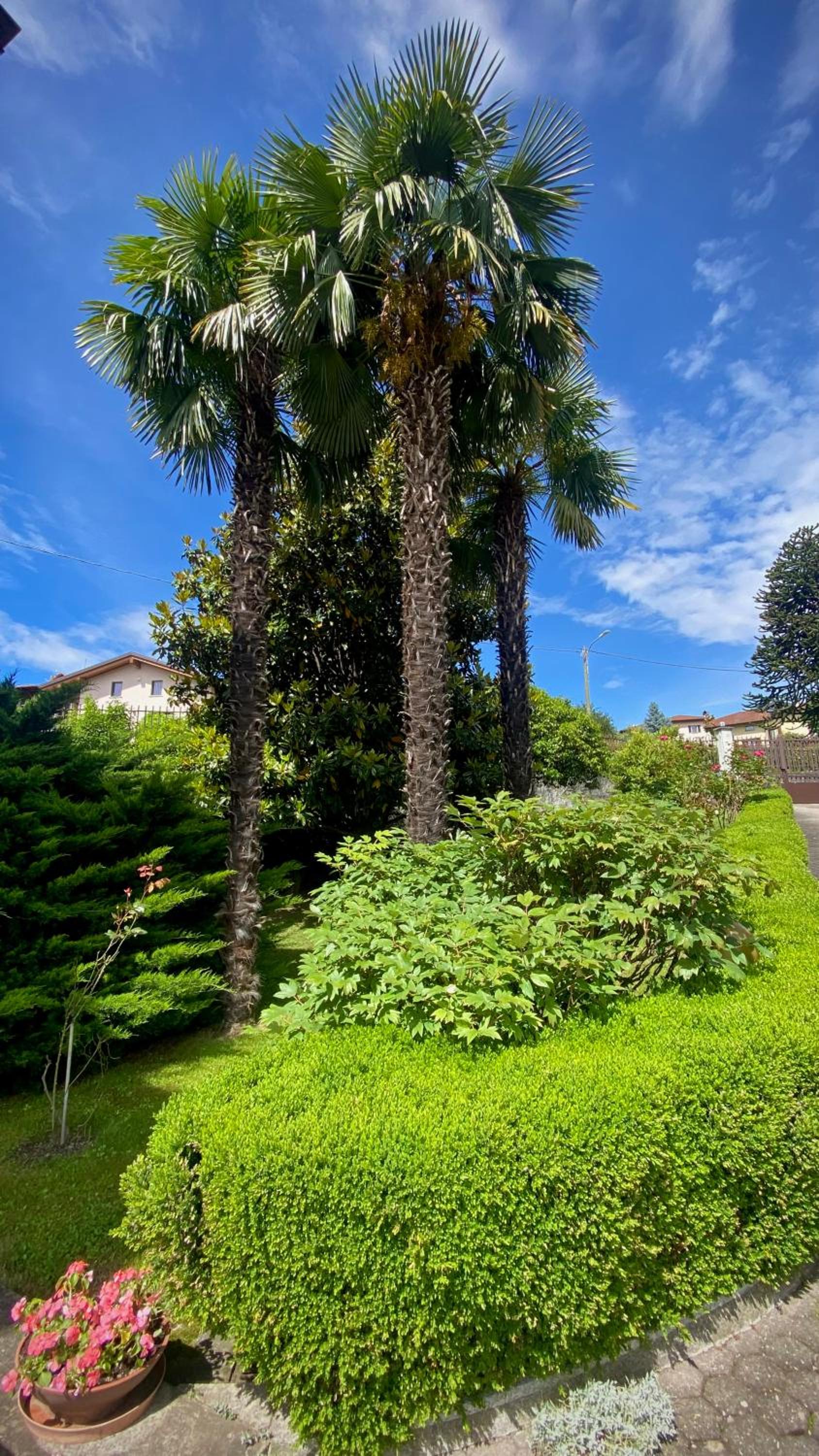 Casa Blue lake view 5