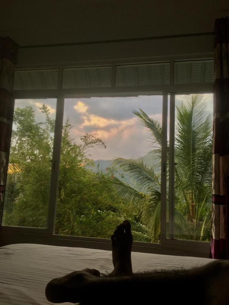 Misty View Inn view 5