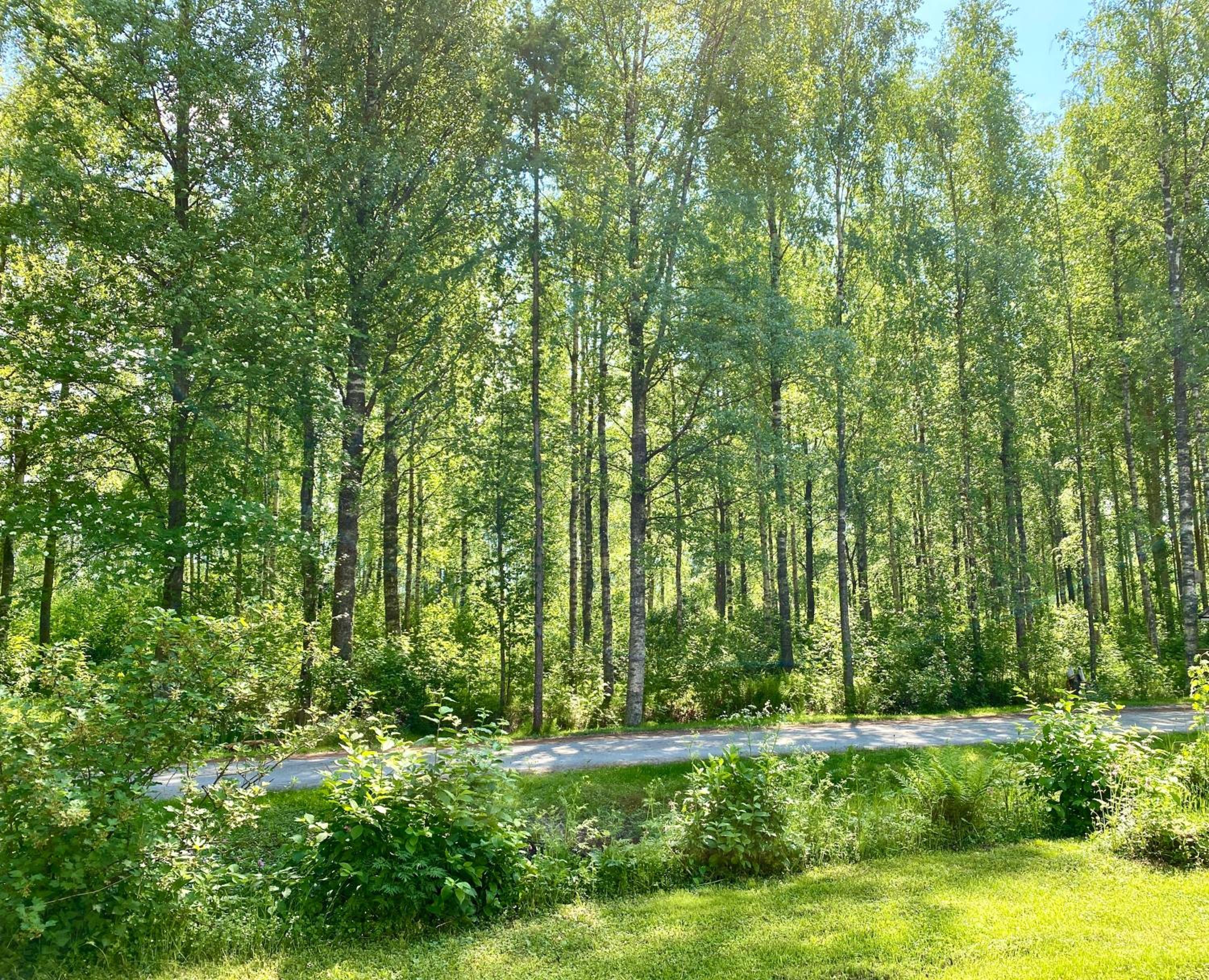 Villa Ketola, spacious house