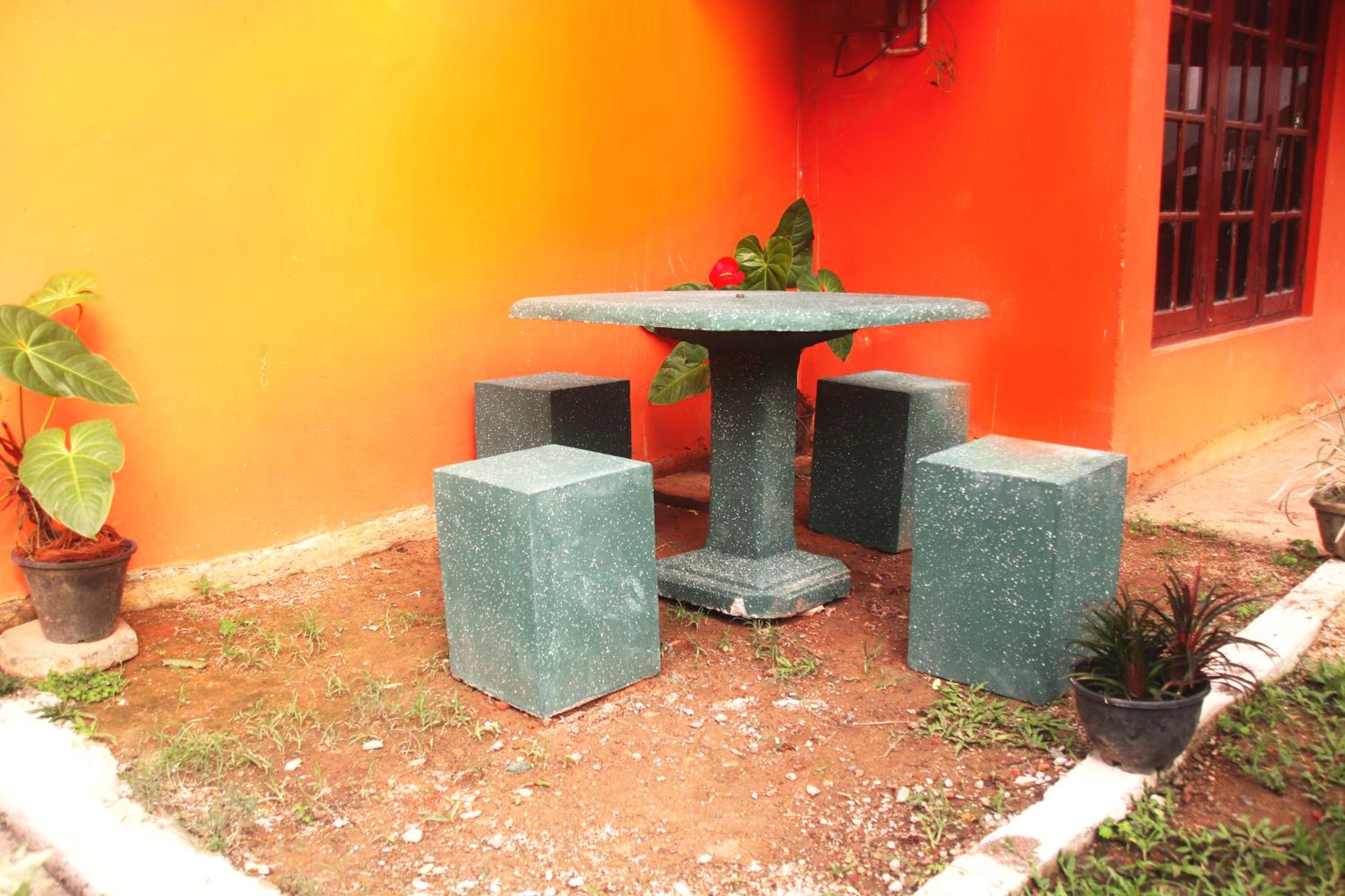 Photo 21