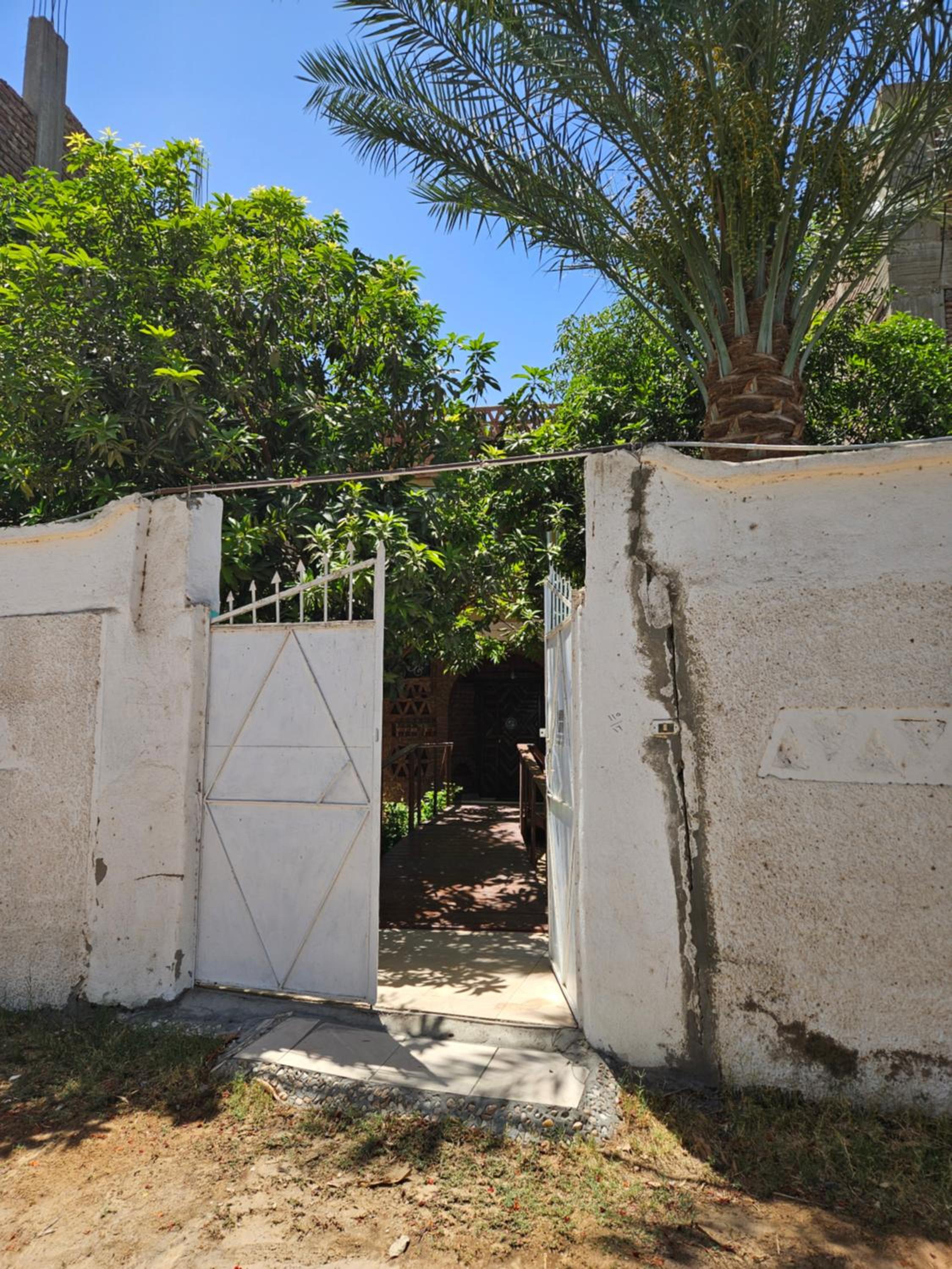Casa Helvetica