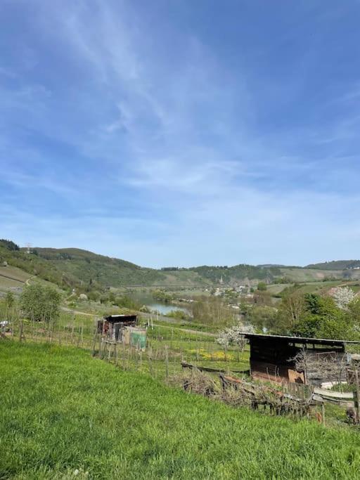 Ferienwohnung Moselsteig