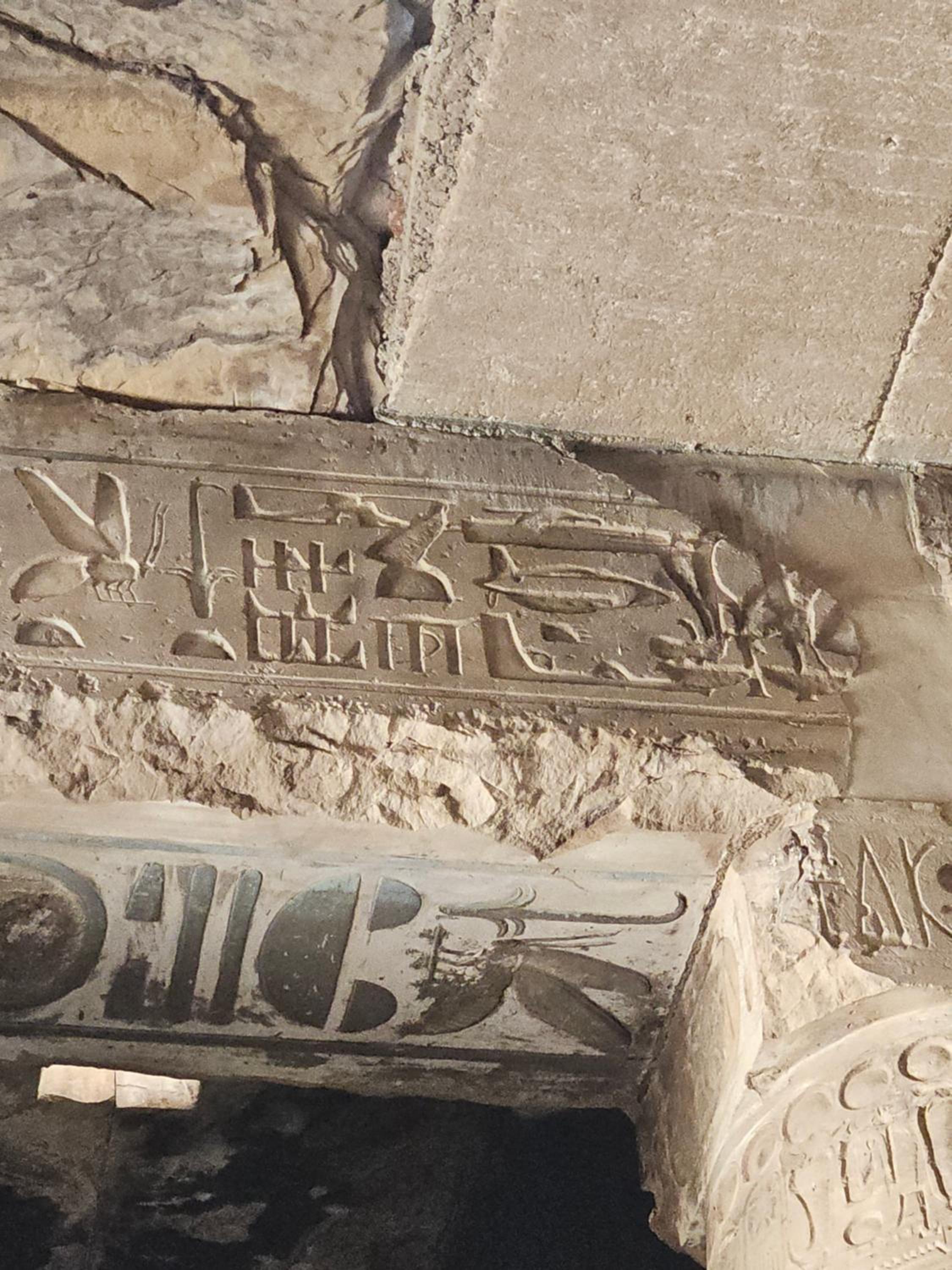 Casa Helvetica