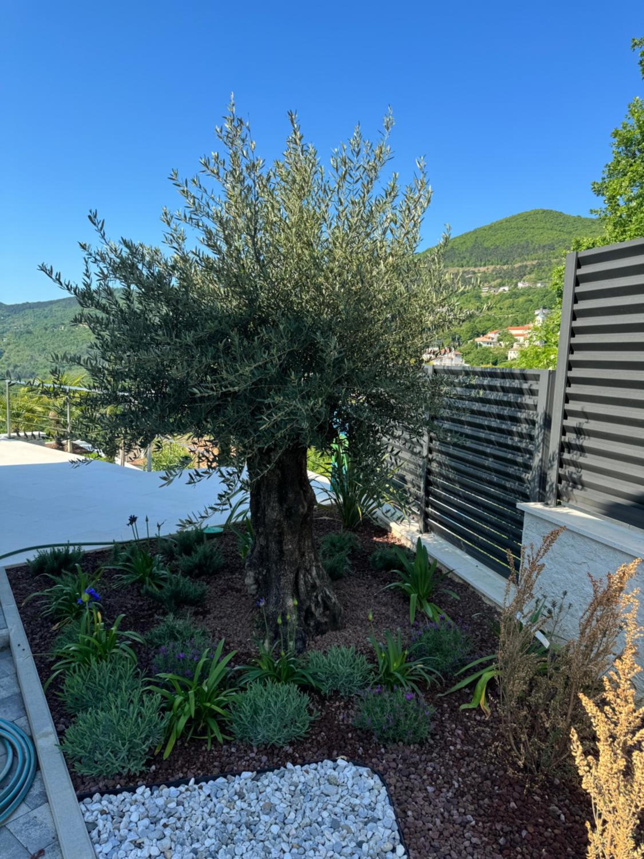 Villa Agapanthus