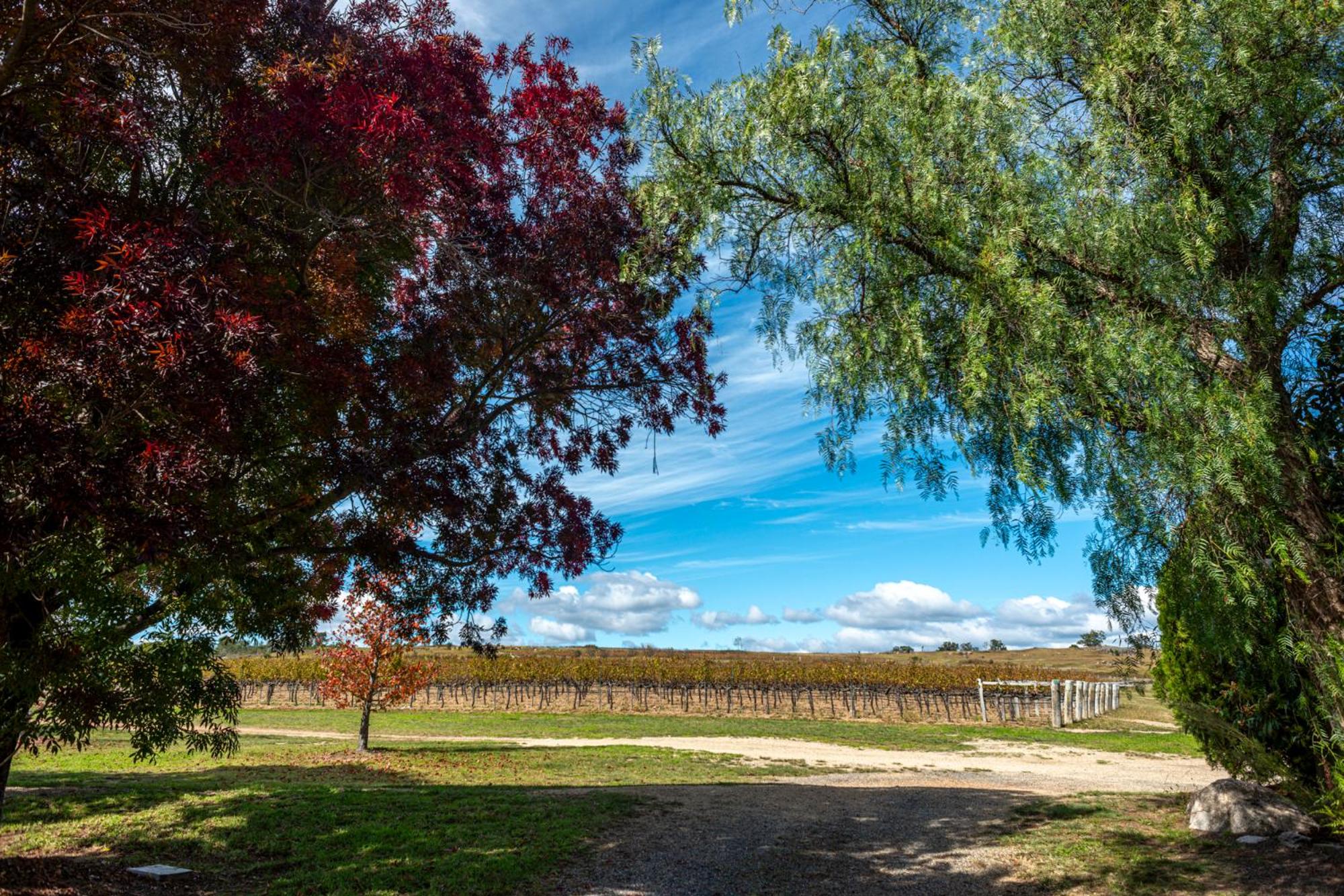 Marnita Farmhouse at Golden Grove Estate Winery