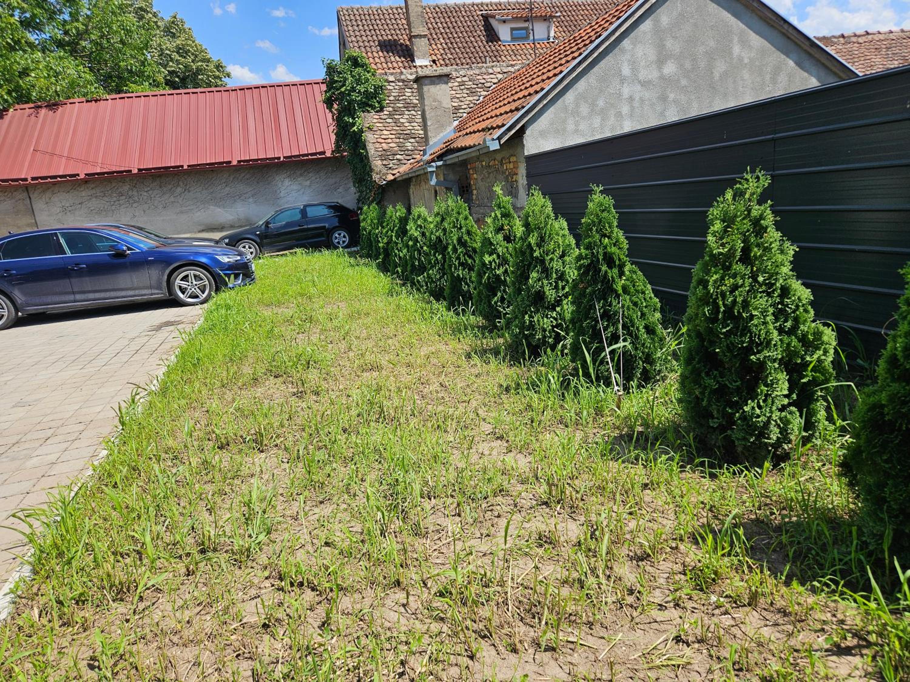 Photo 33