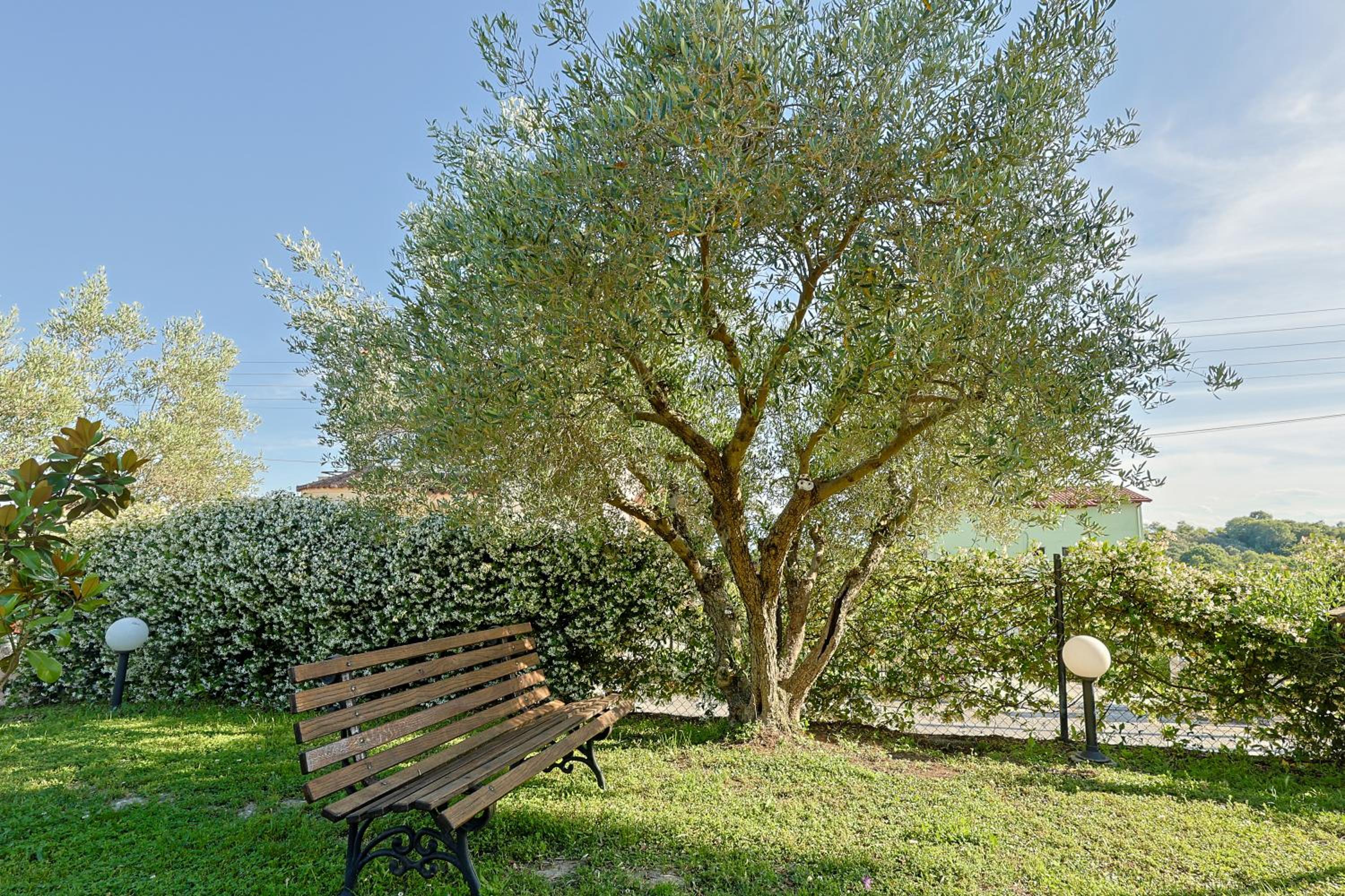 Photo 43