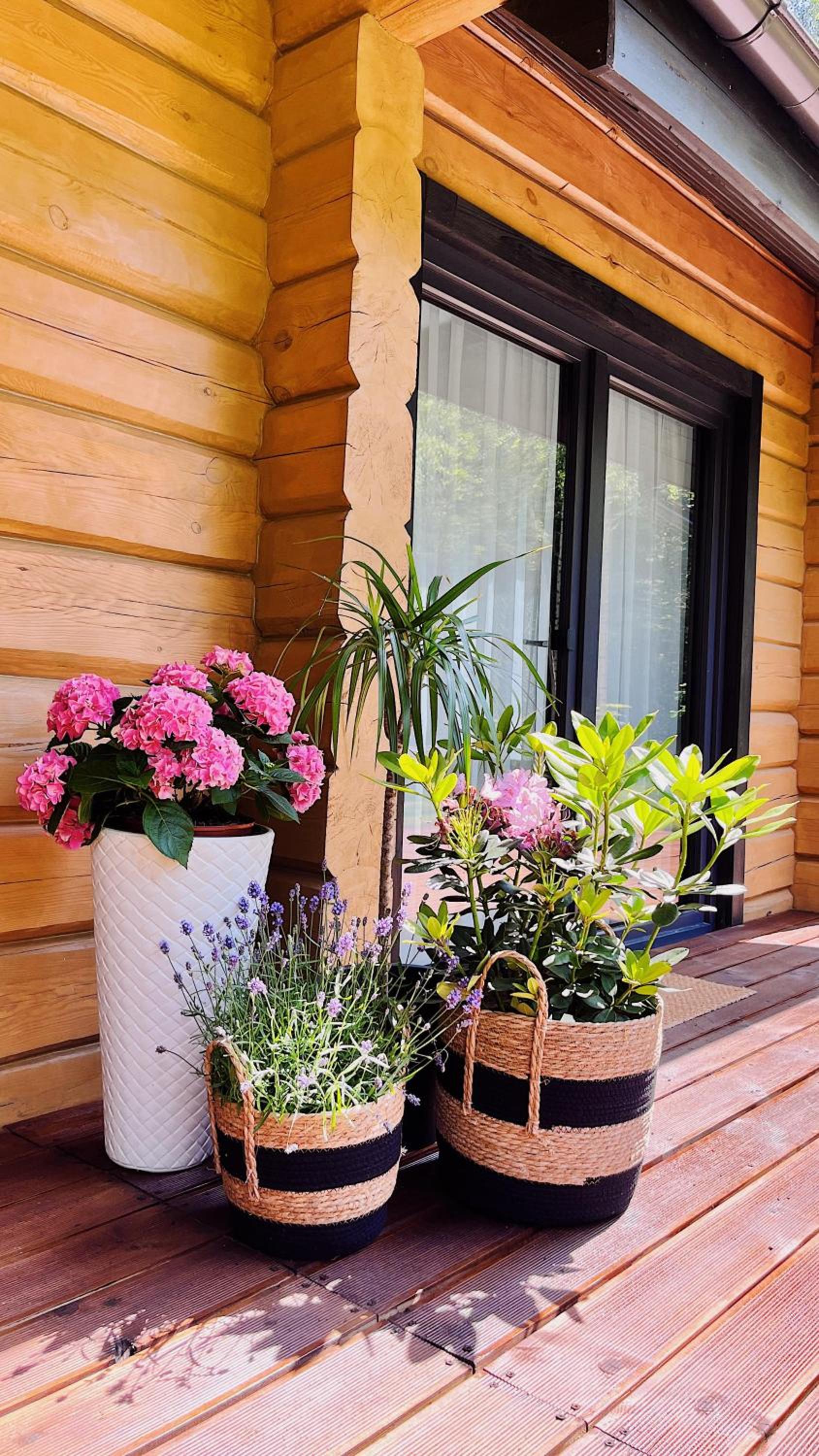 WoodStay