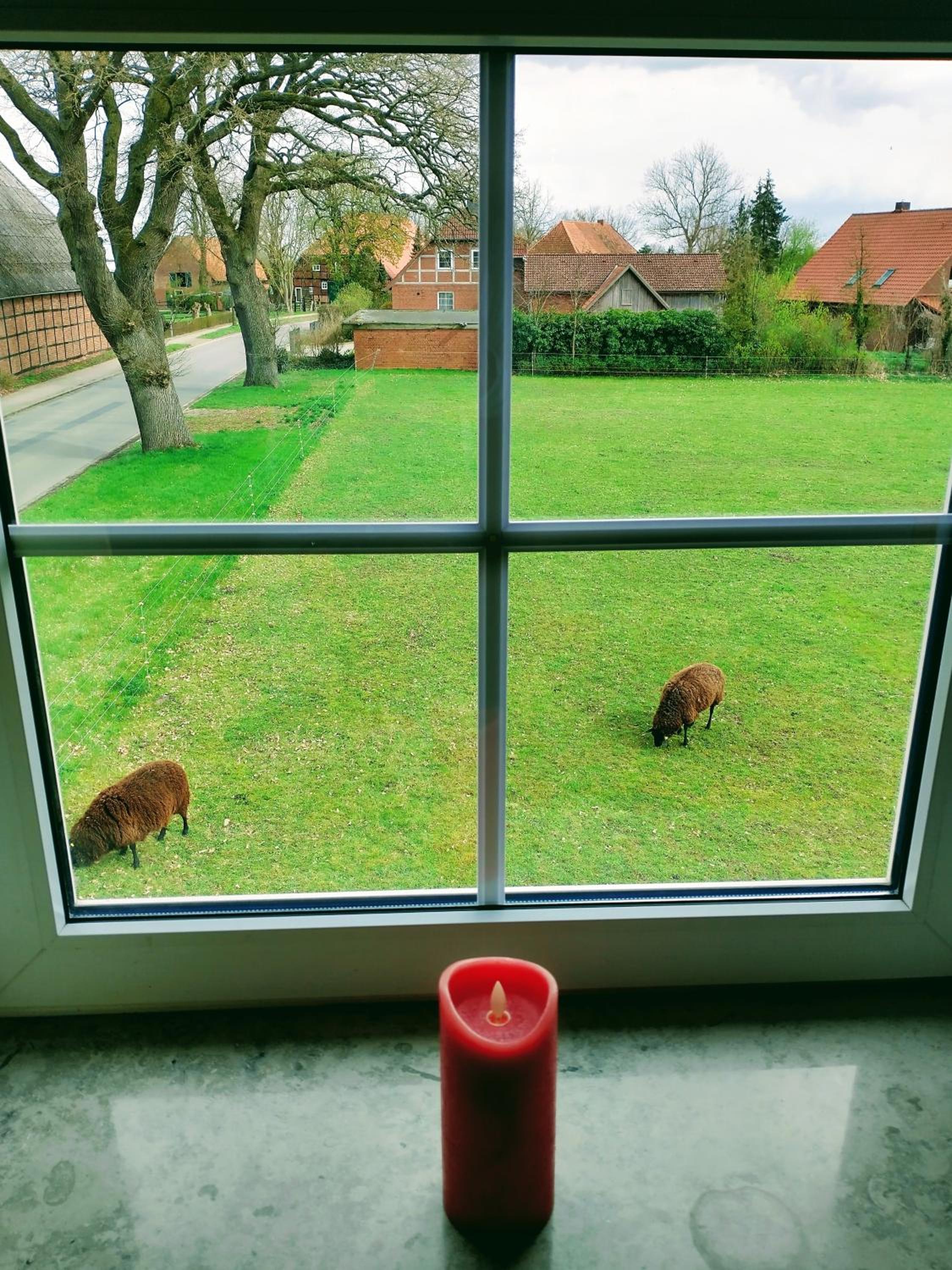 Ruhiges 4 Sterne Exzellenz-Appartement DIANA im Elb-Urstromtal - fast WLAN, good for long-terms