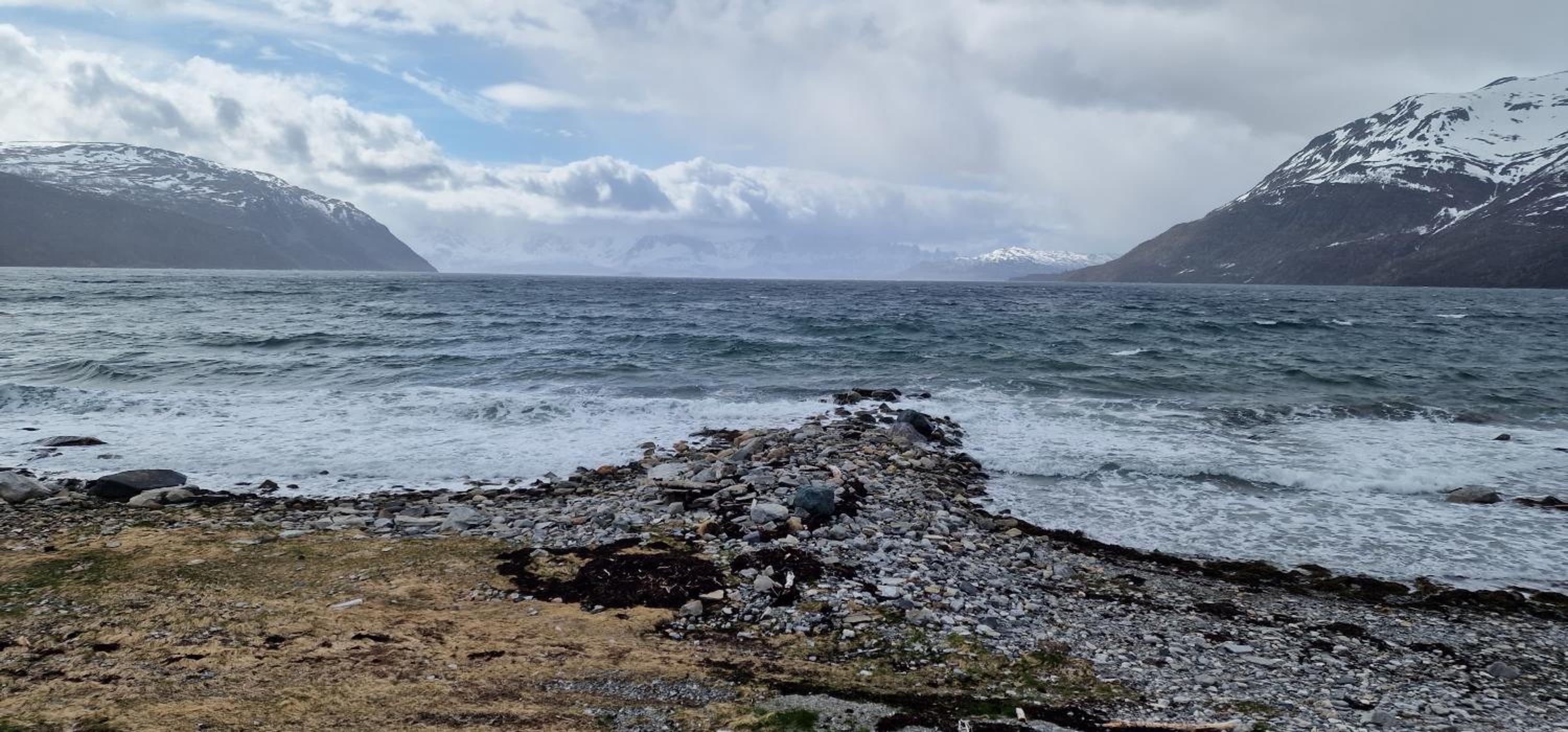 Arctic FjordCamp