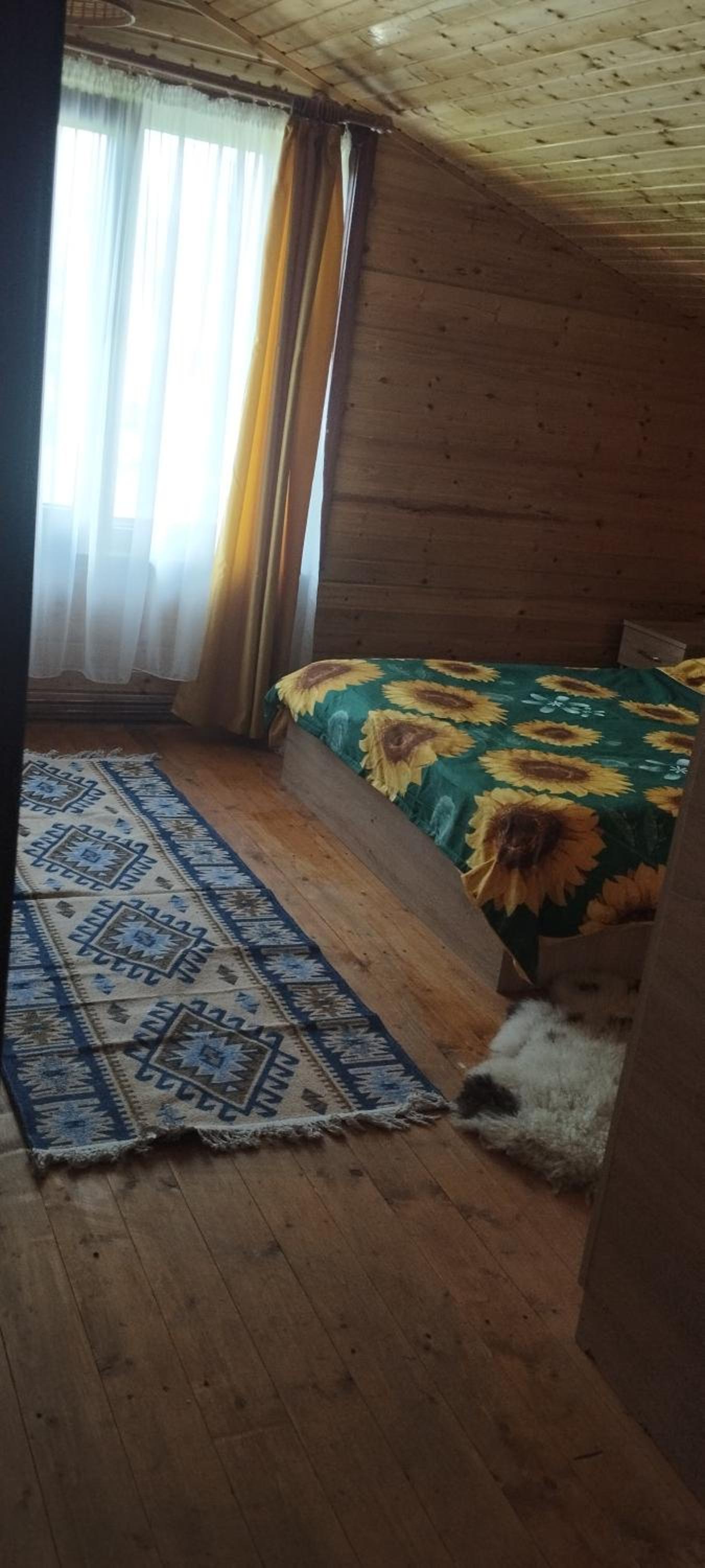 Cabana familiei