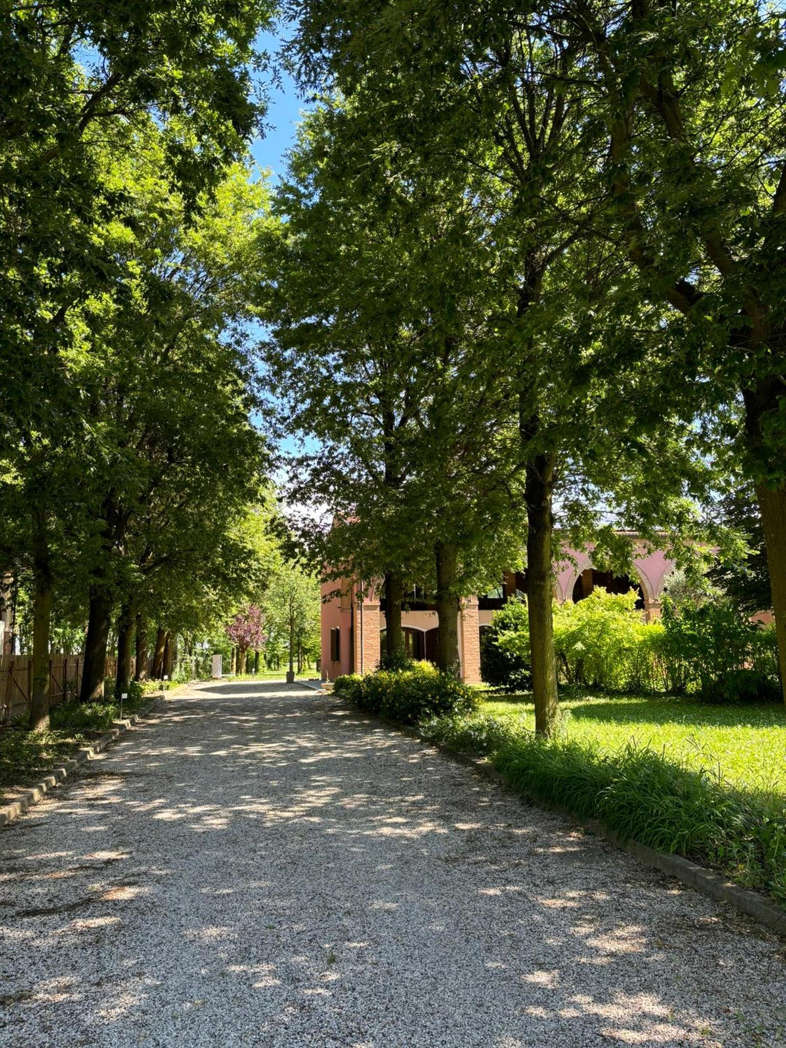 Portego mio