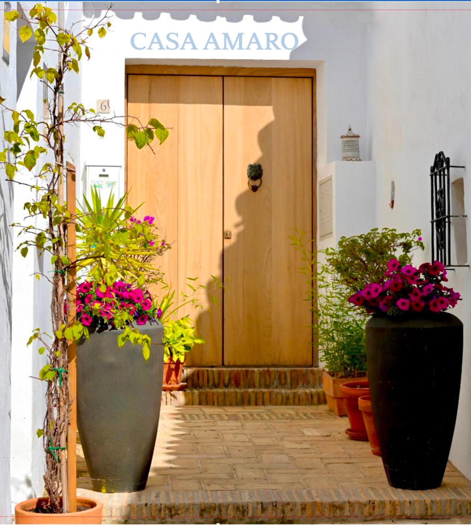 CASA AMARO view 2