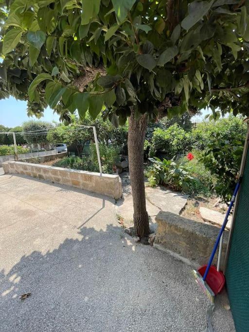 Casa Fara view 5