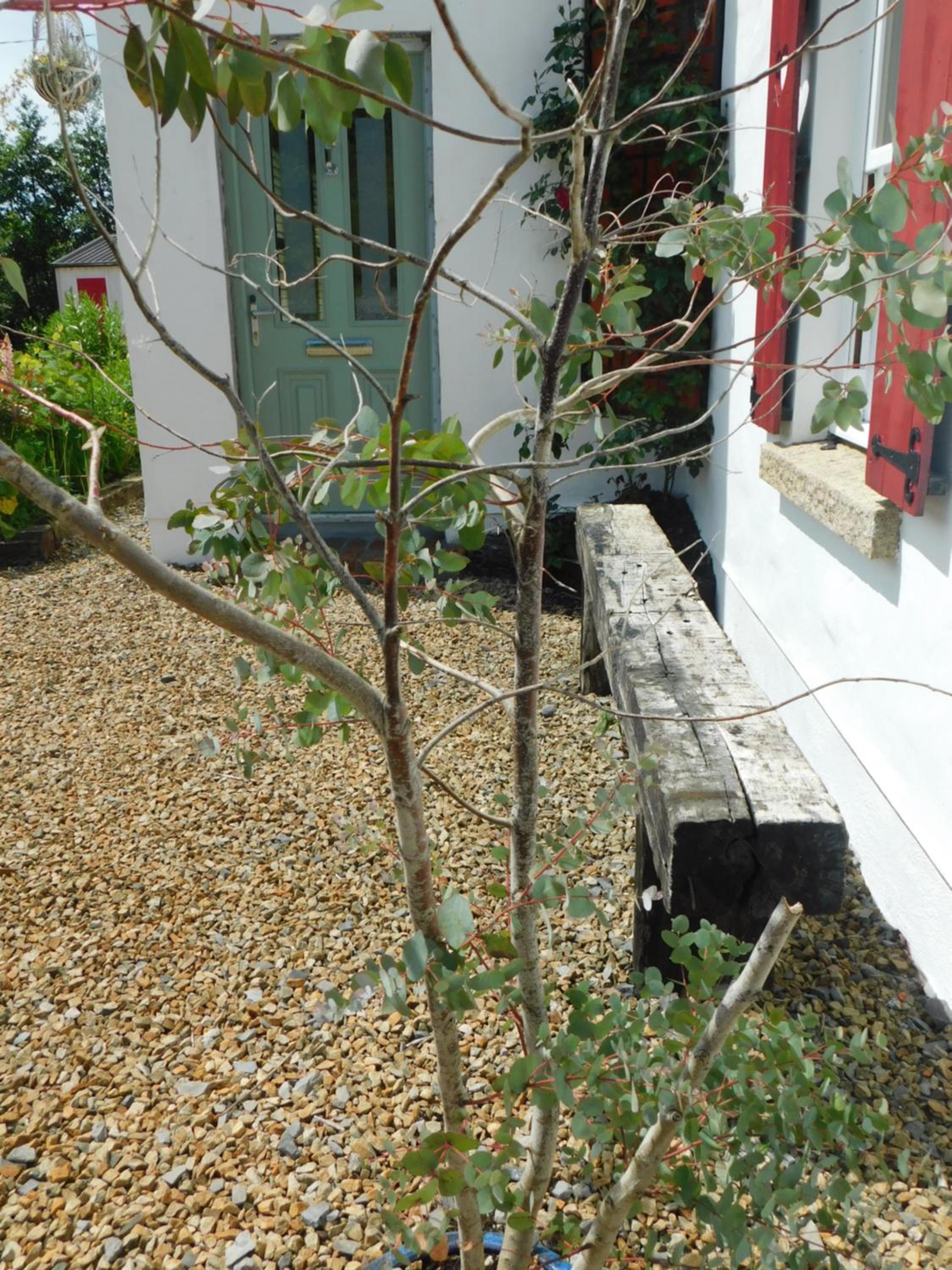 Willow Cottage Accommodation F91X0C8 view 2