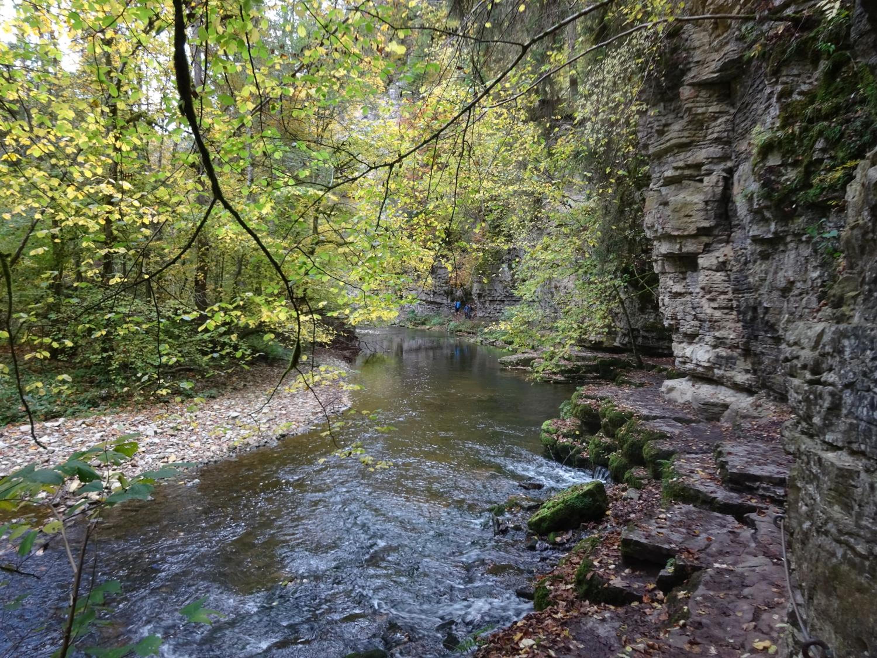 Wildkräuter-Gasthof Linde