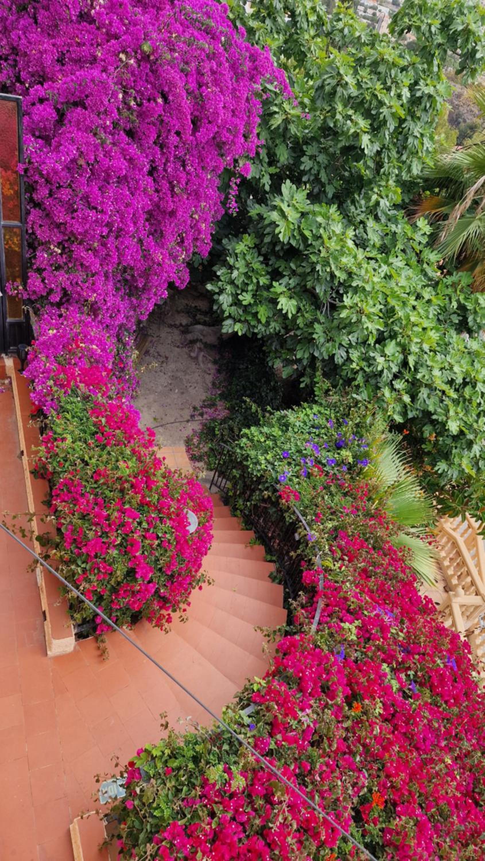 villa Maryvilla Calpe