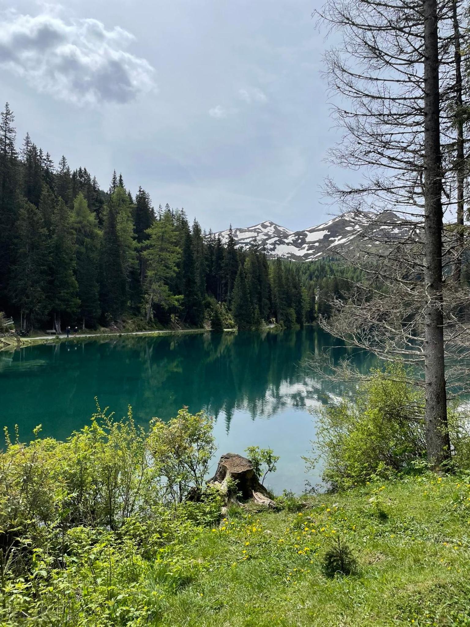 Photo 18