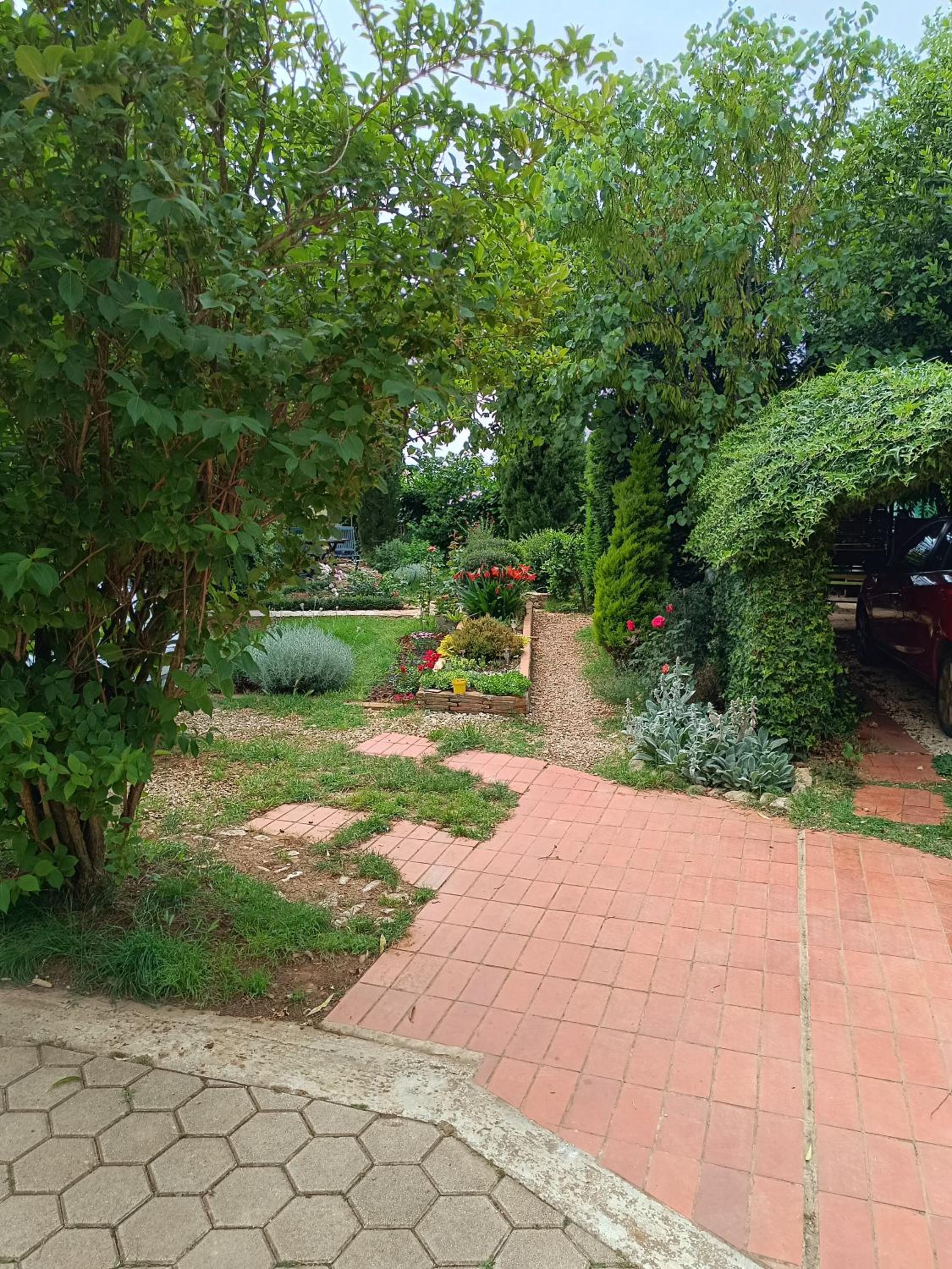 Photo 39
