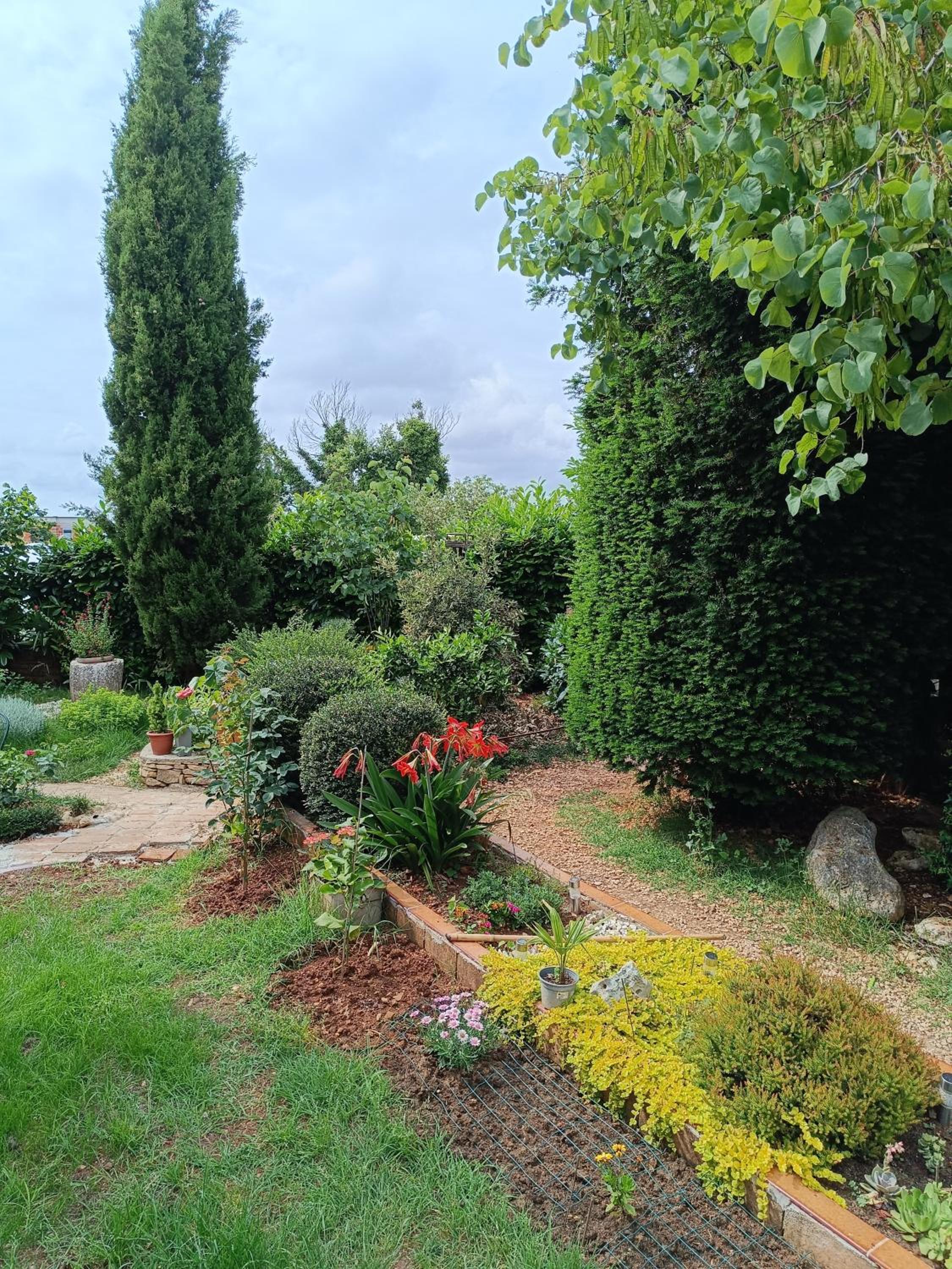 Photo 43