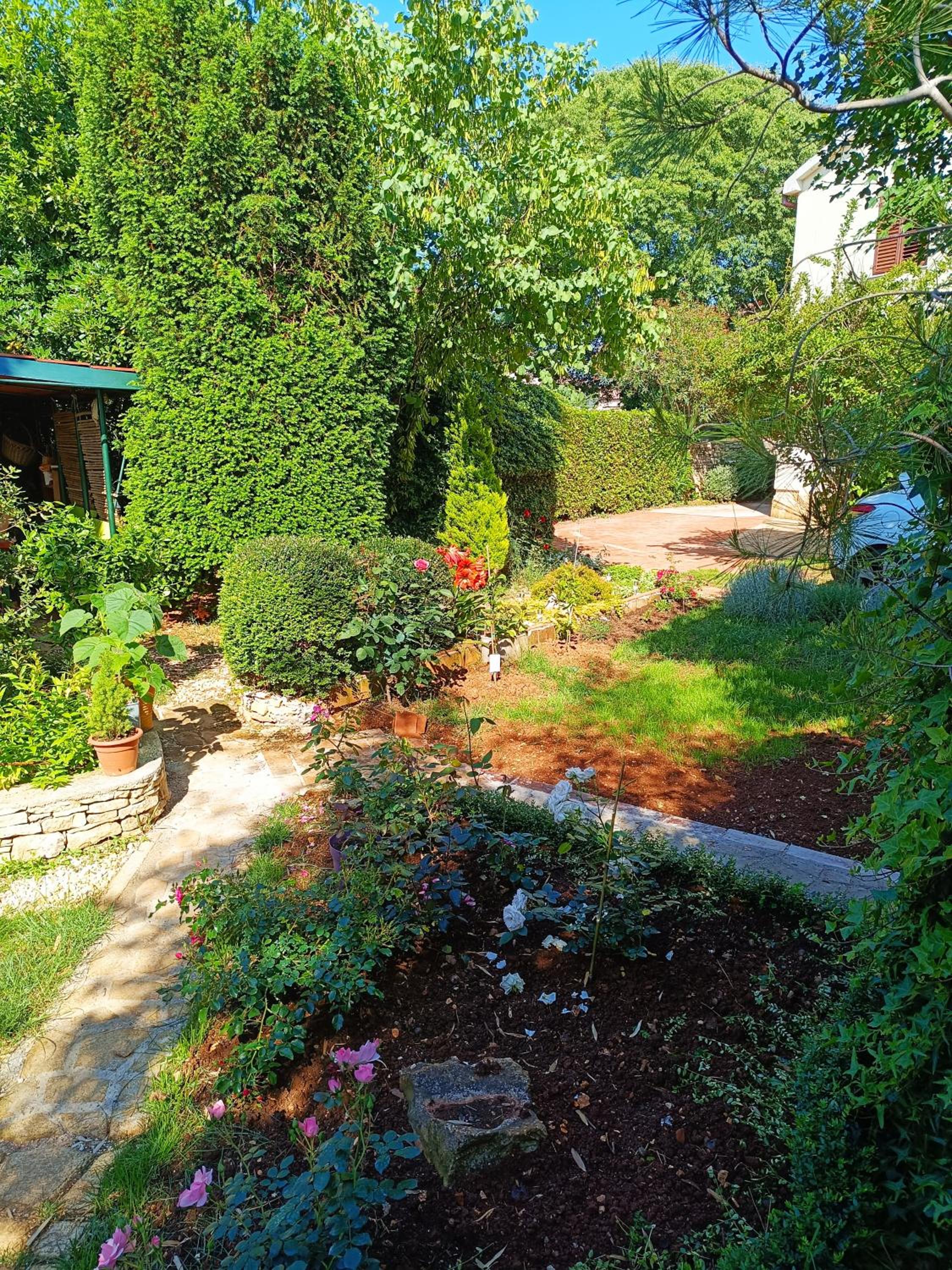 Photo 42