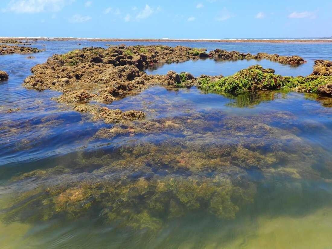 Flat praia Bessa conforto localização e seguro