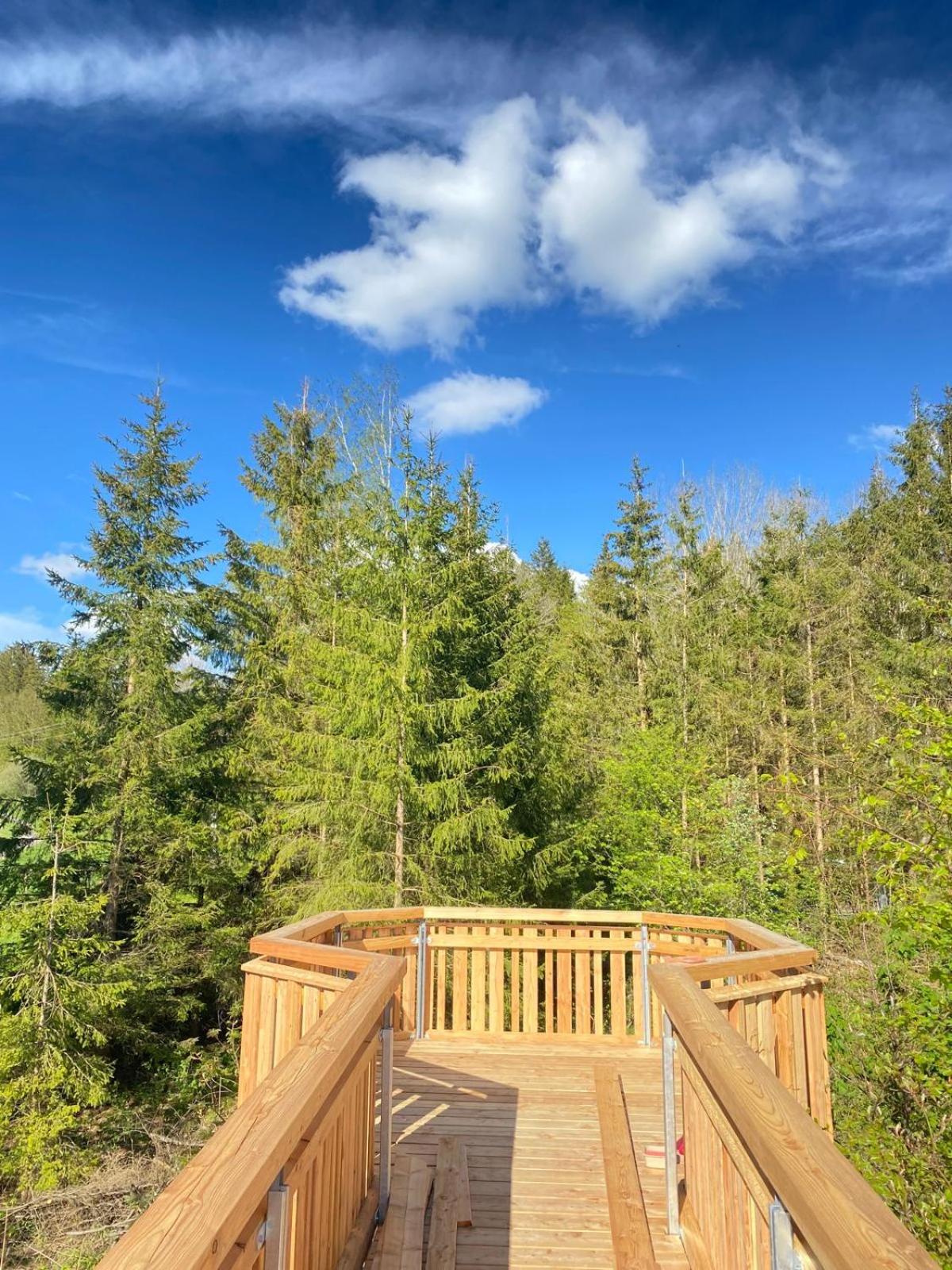 Wald ist Zukunft