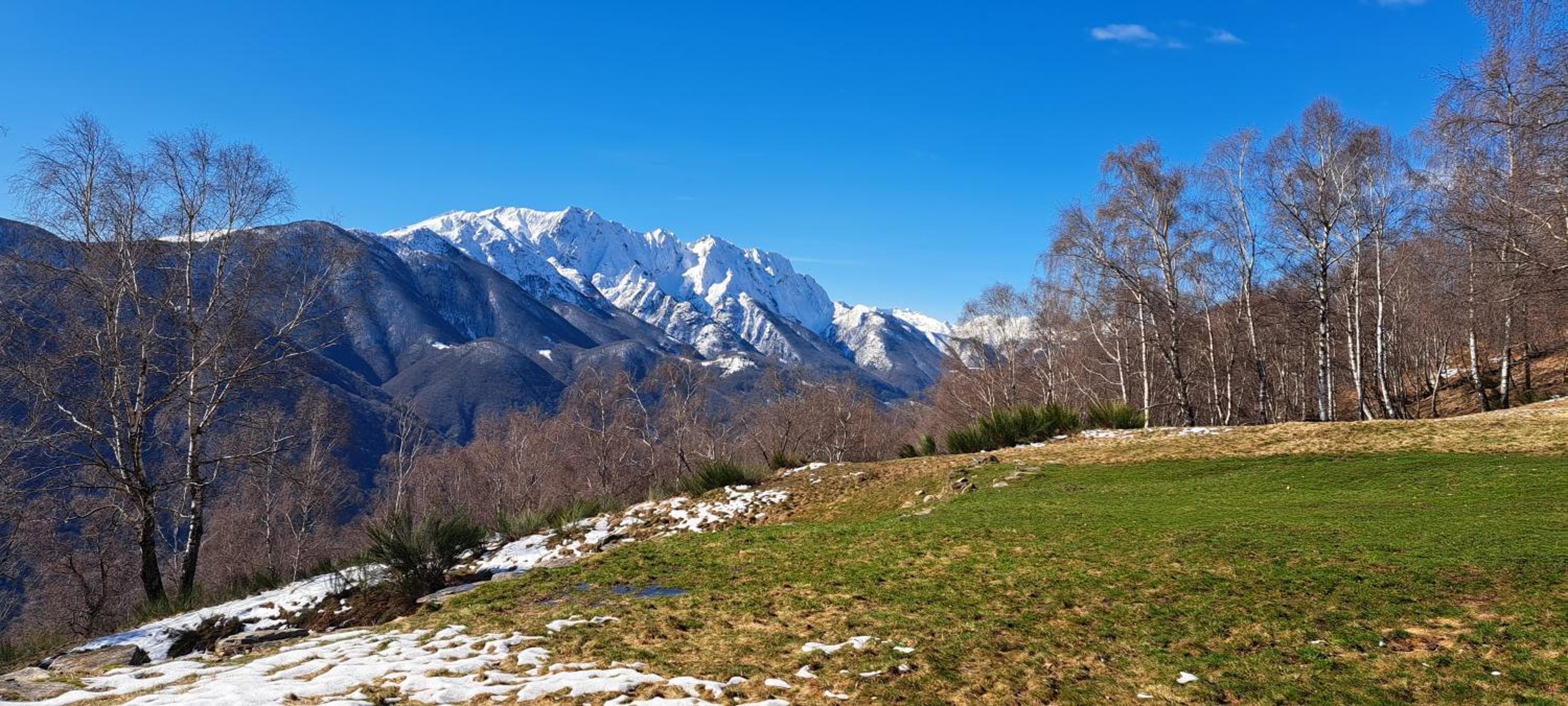 Appartamento La Torretta
