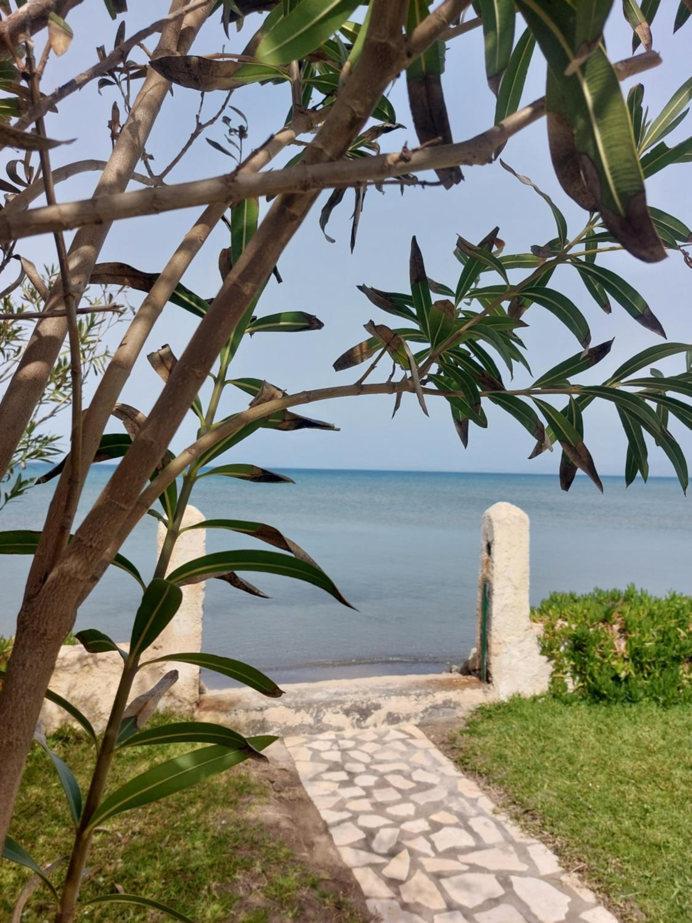 Home Maro view 5