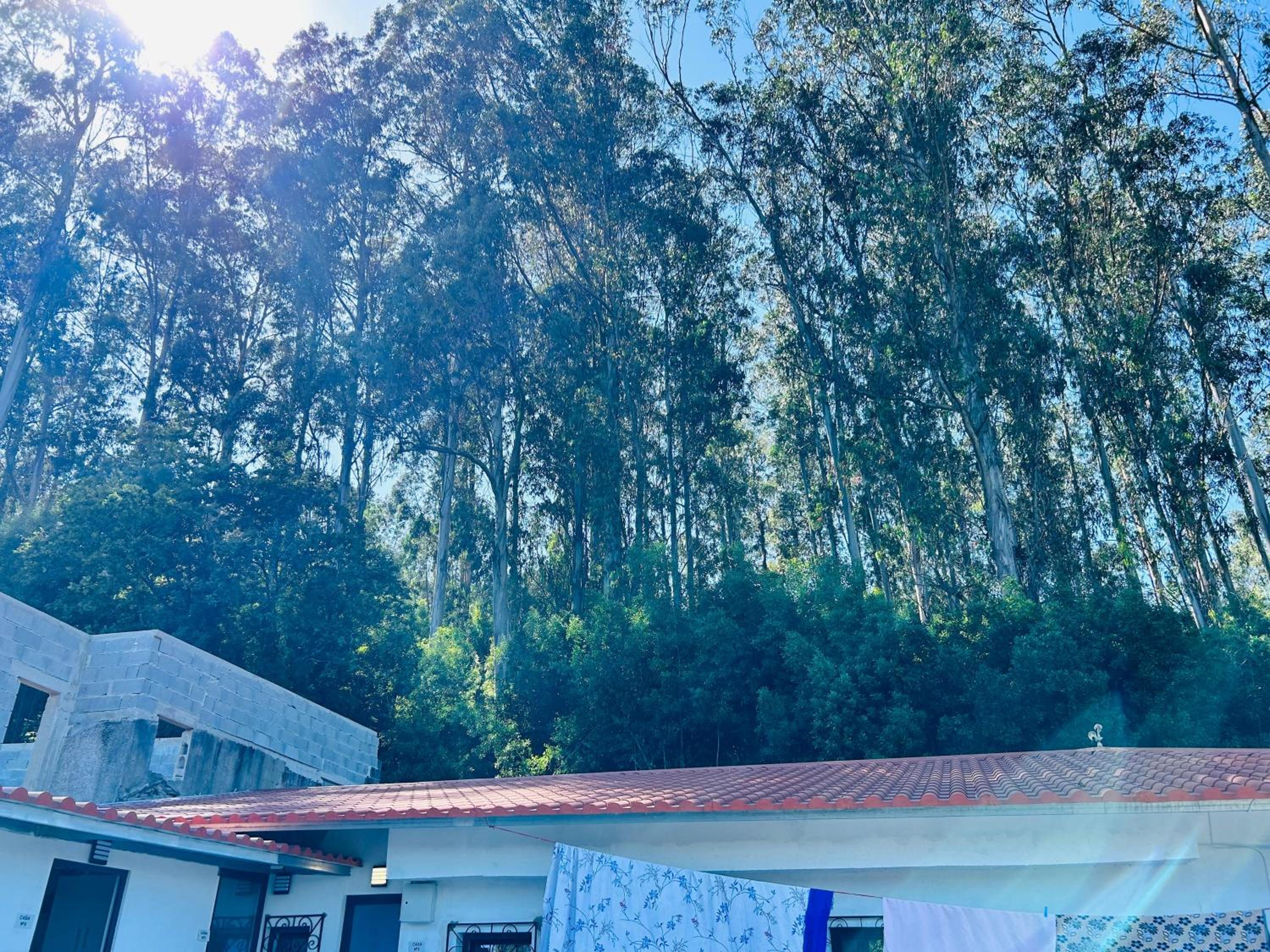 JAPJI GUEST HOUSE ESMERIZ