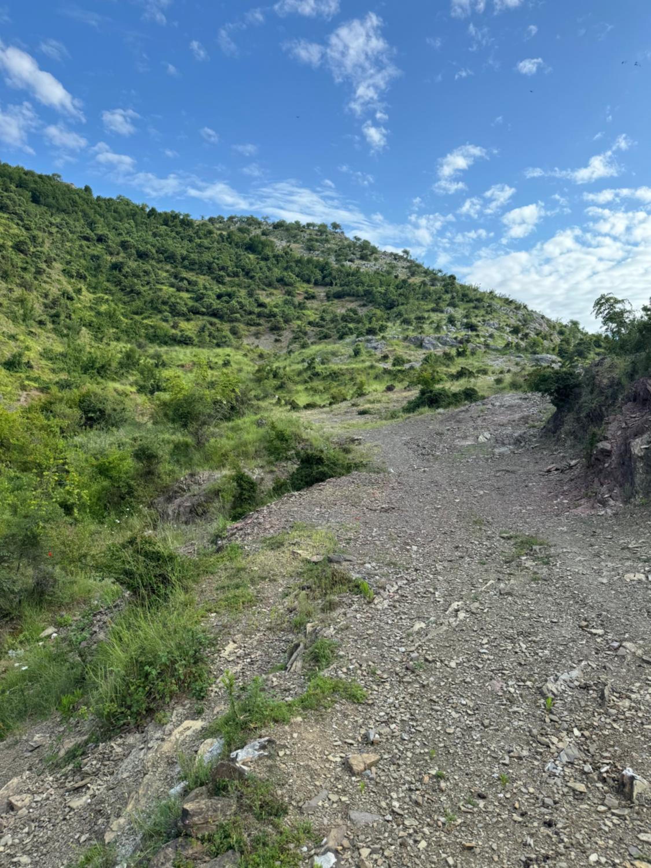 Qyteza Guest House & Camping