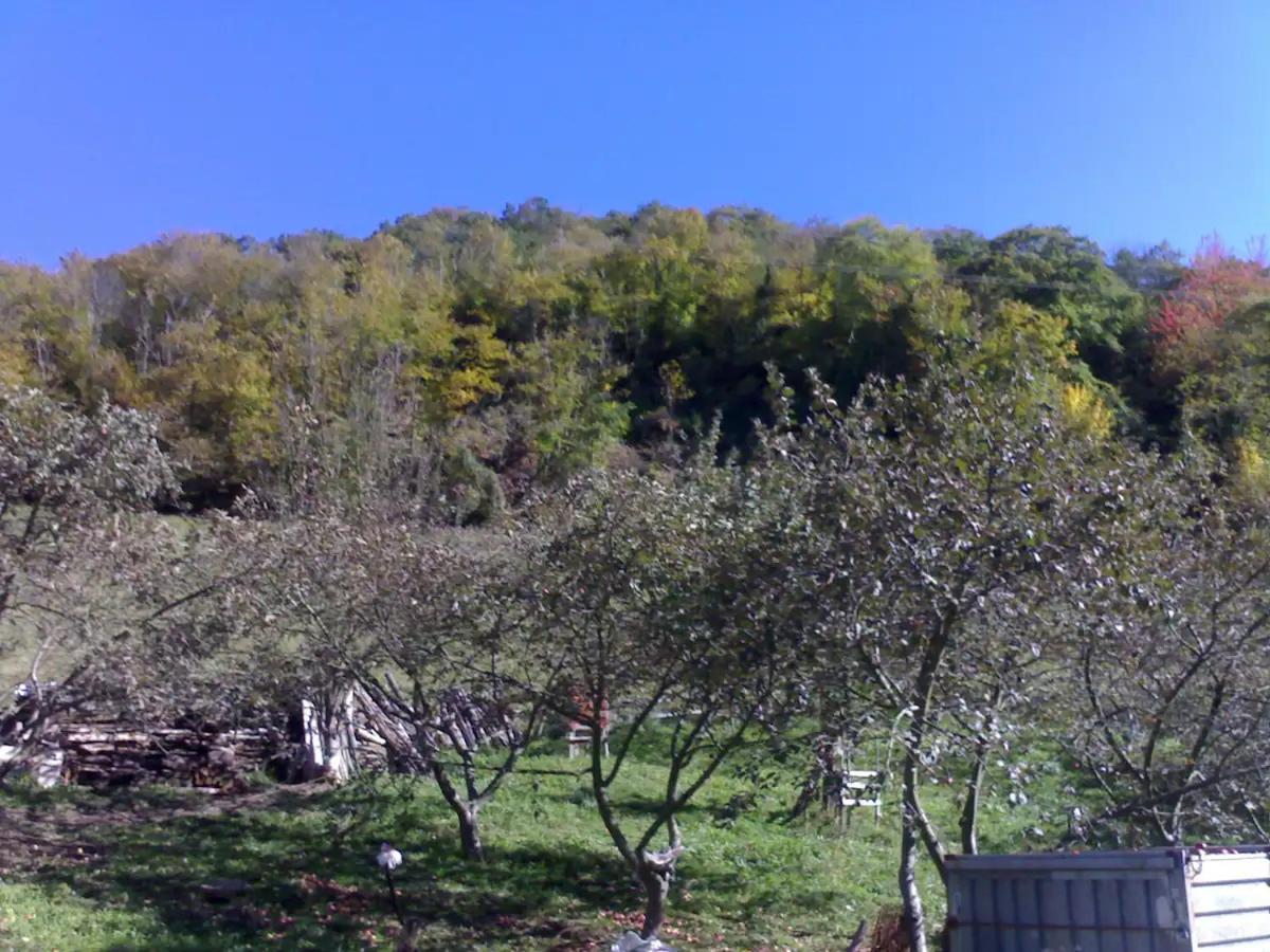 Baldevenero