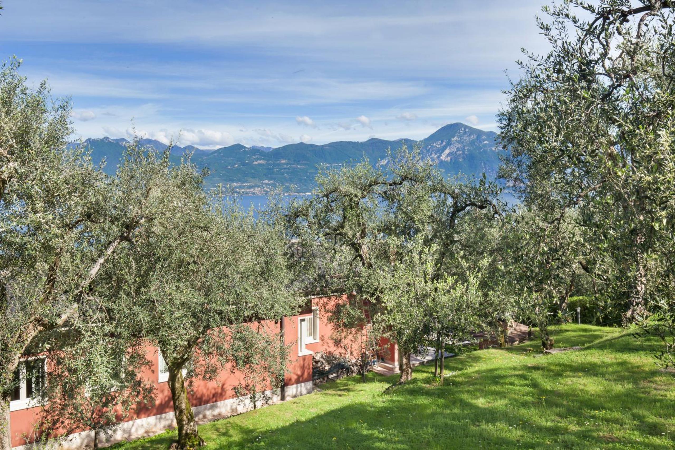 Photo 34