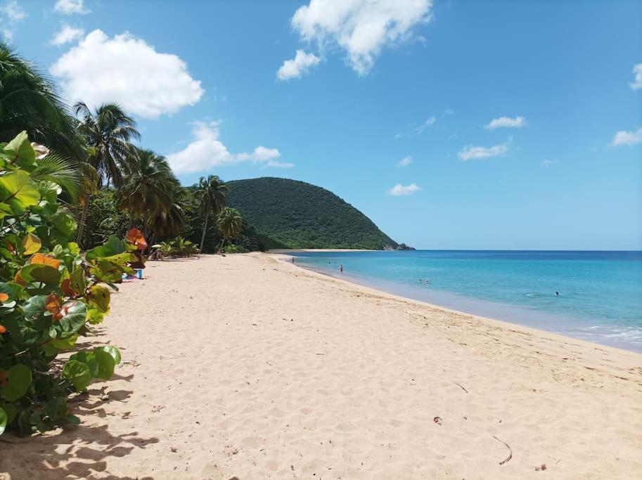 Ti Paradis Gîte à 200 m plage de Grande Anse