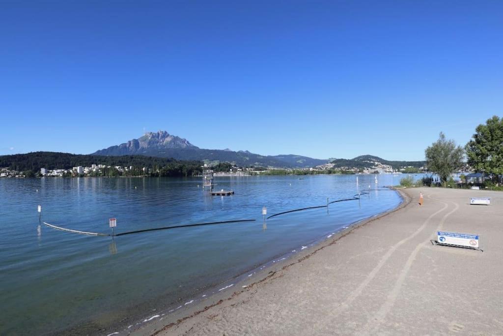 Romantisches Studio in der City Luzern Green