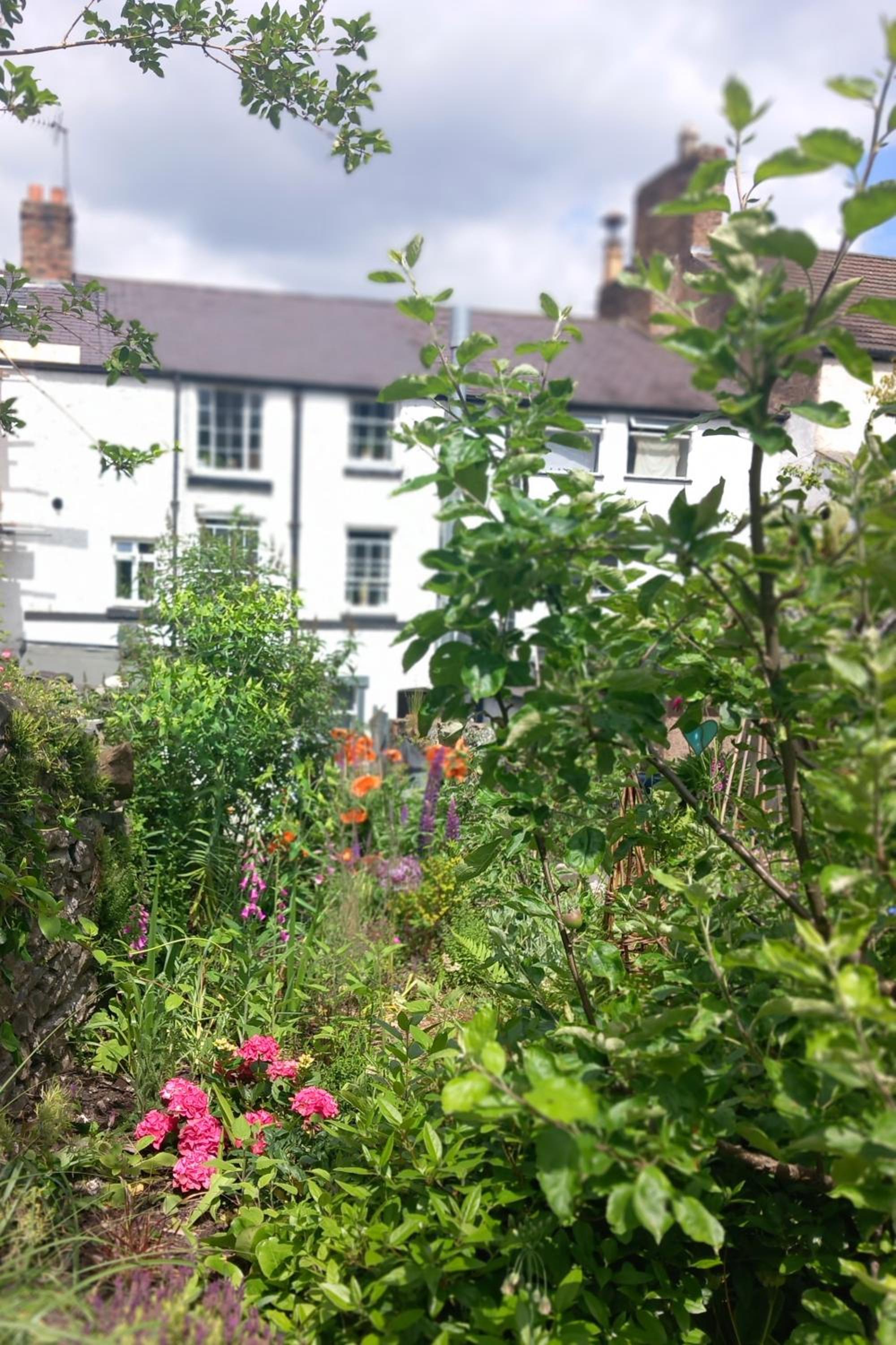Hiraeth Homestay xxx