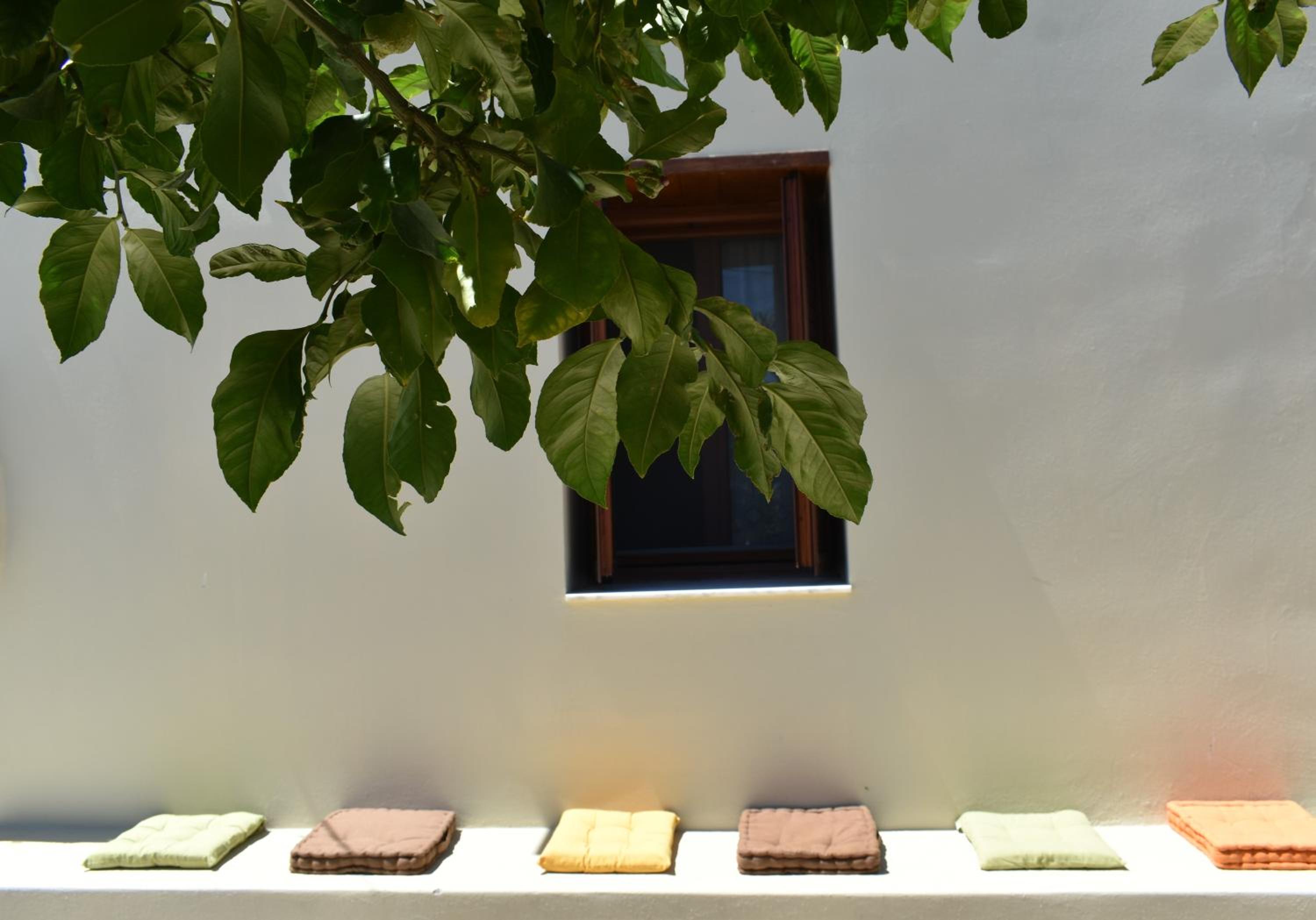Lithos House