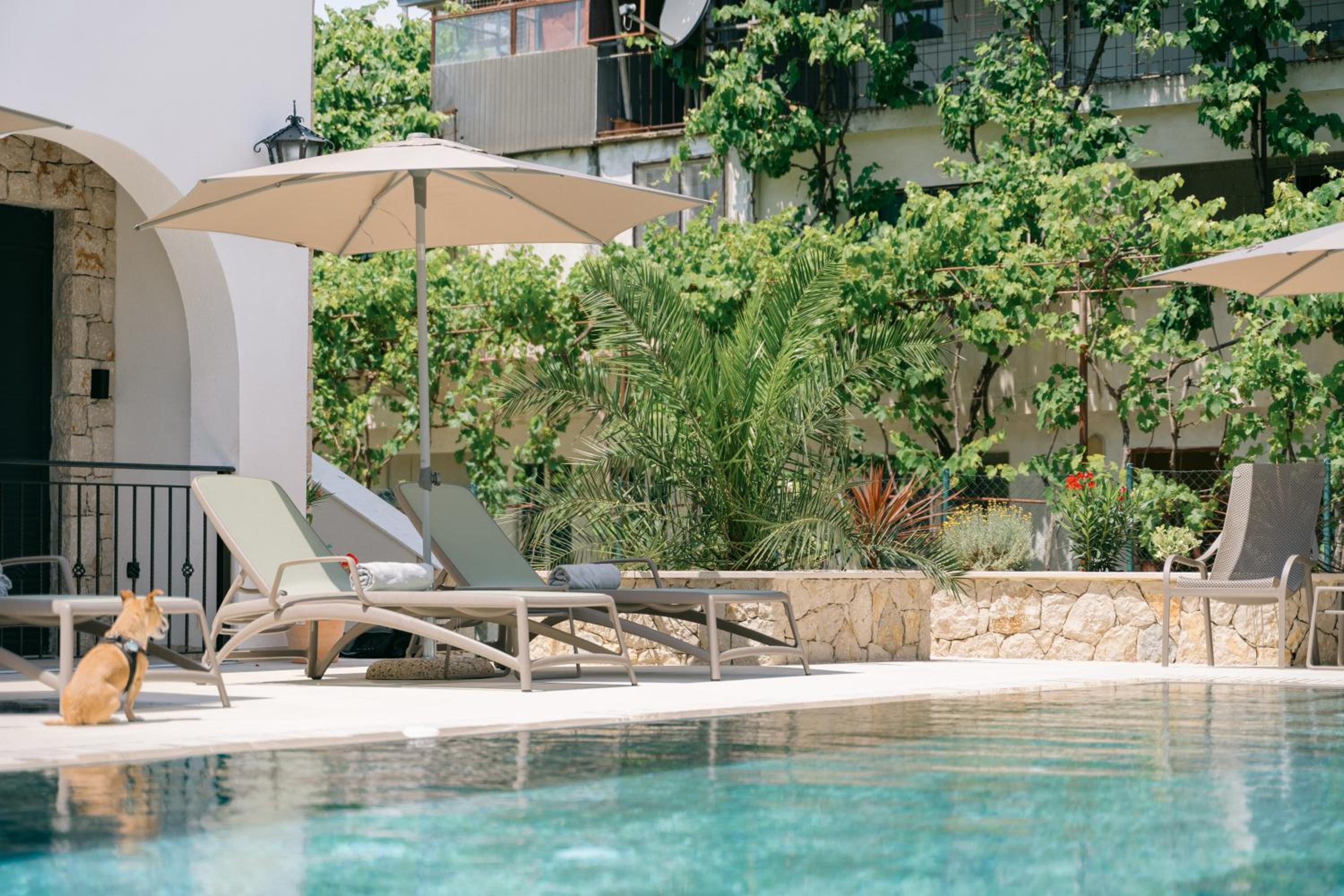 B&B Lovac Pool & Spa view 5