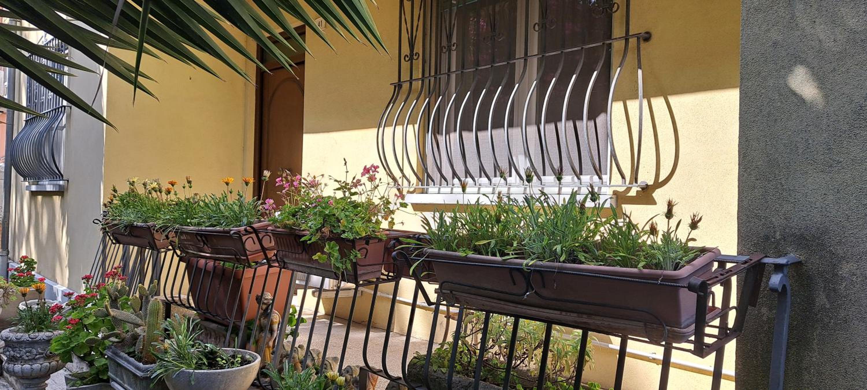 Domus Le Palme view 4