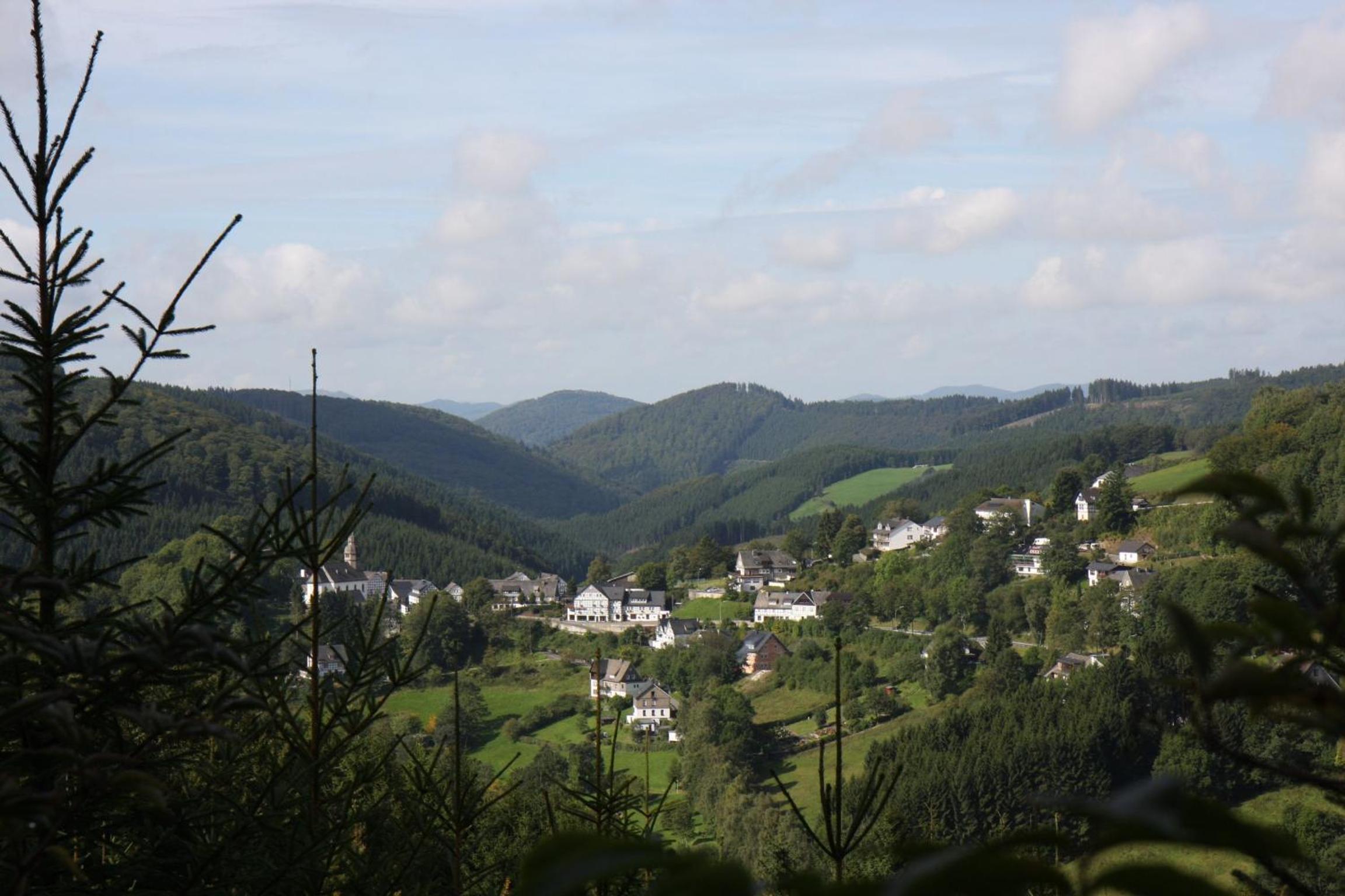 Photo 45